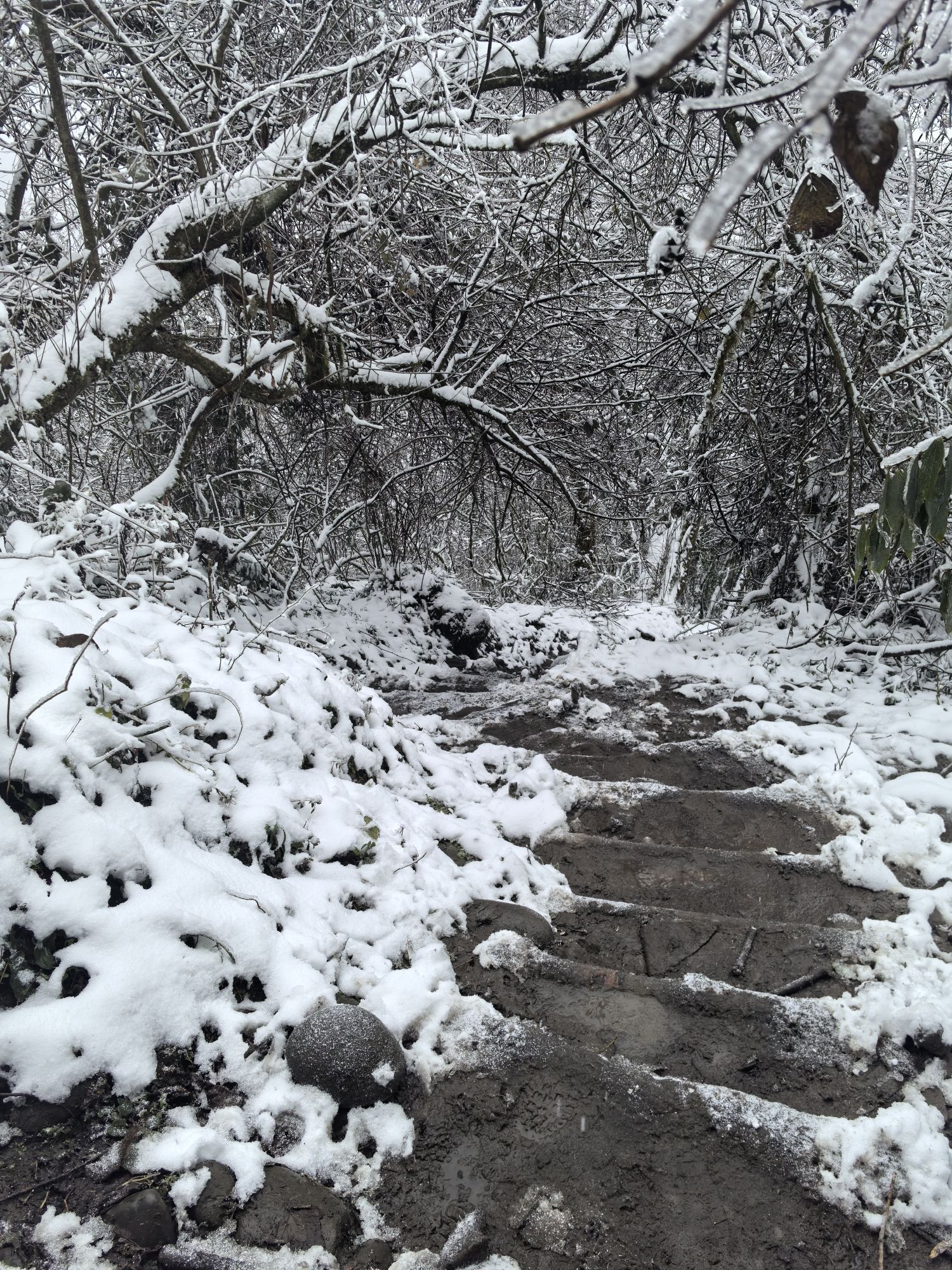赵公山景区(西线)旅行图片 3