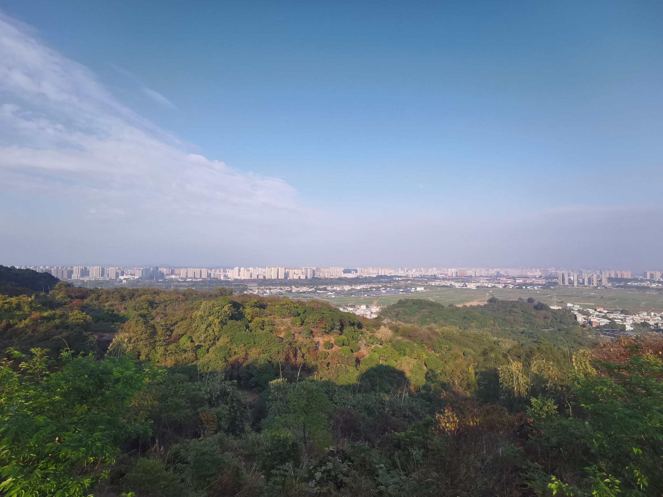 琵琶岩樱花谷旅行图片 2