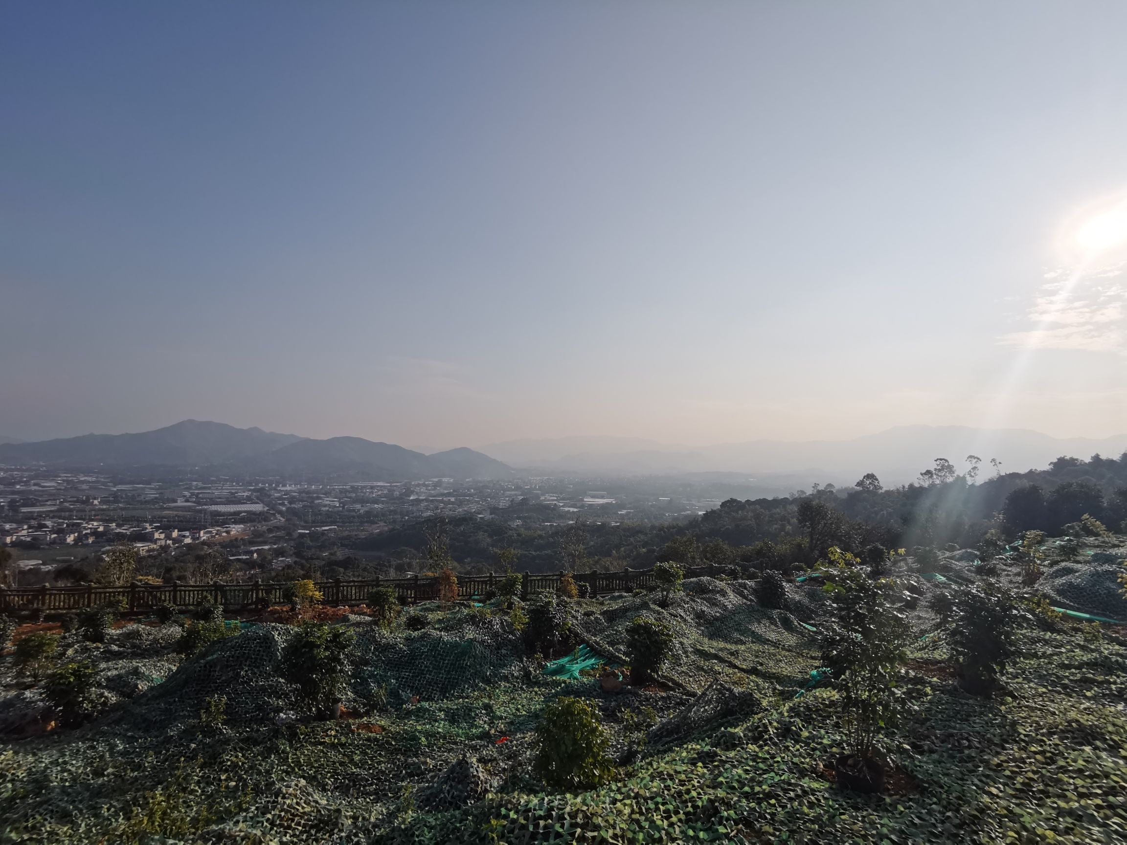 琵琶岩樱花谷旅行图片 3