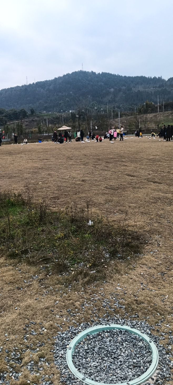 平昌城市体育运动公园旅行图片 1