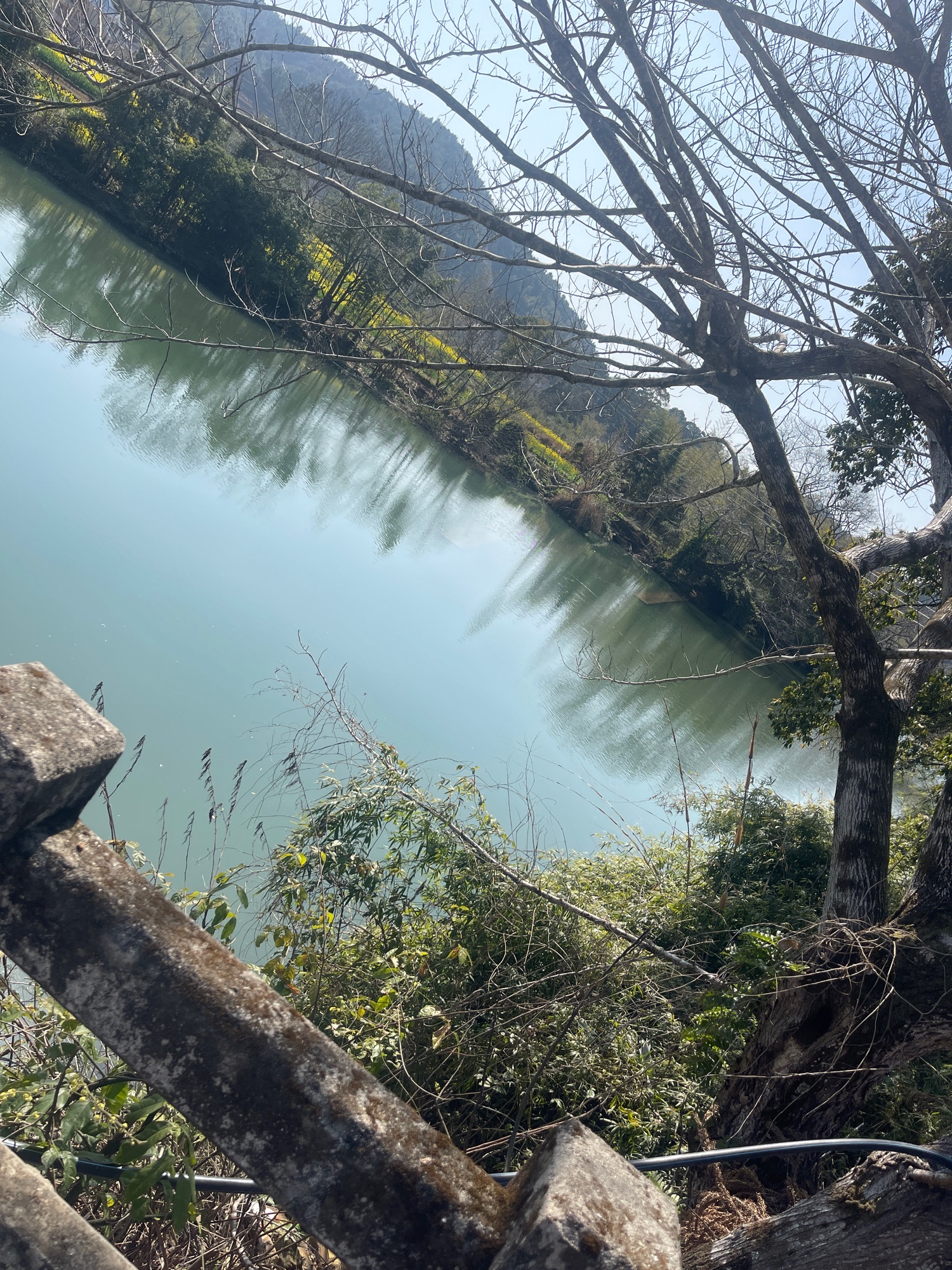 五斗江国家湿地公园旅行图片 1