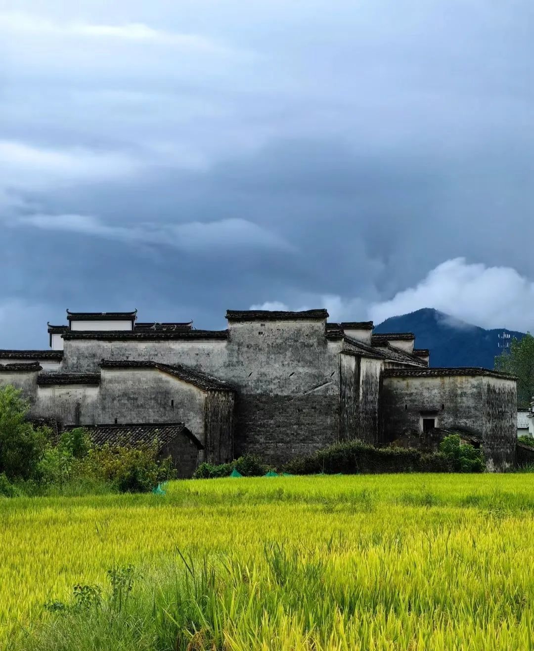 立川古村落旅行图片 1