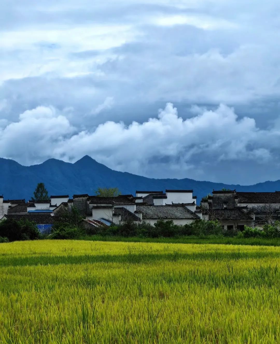 立川古村落旅行图片 2