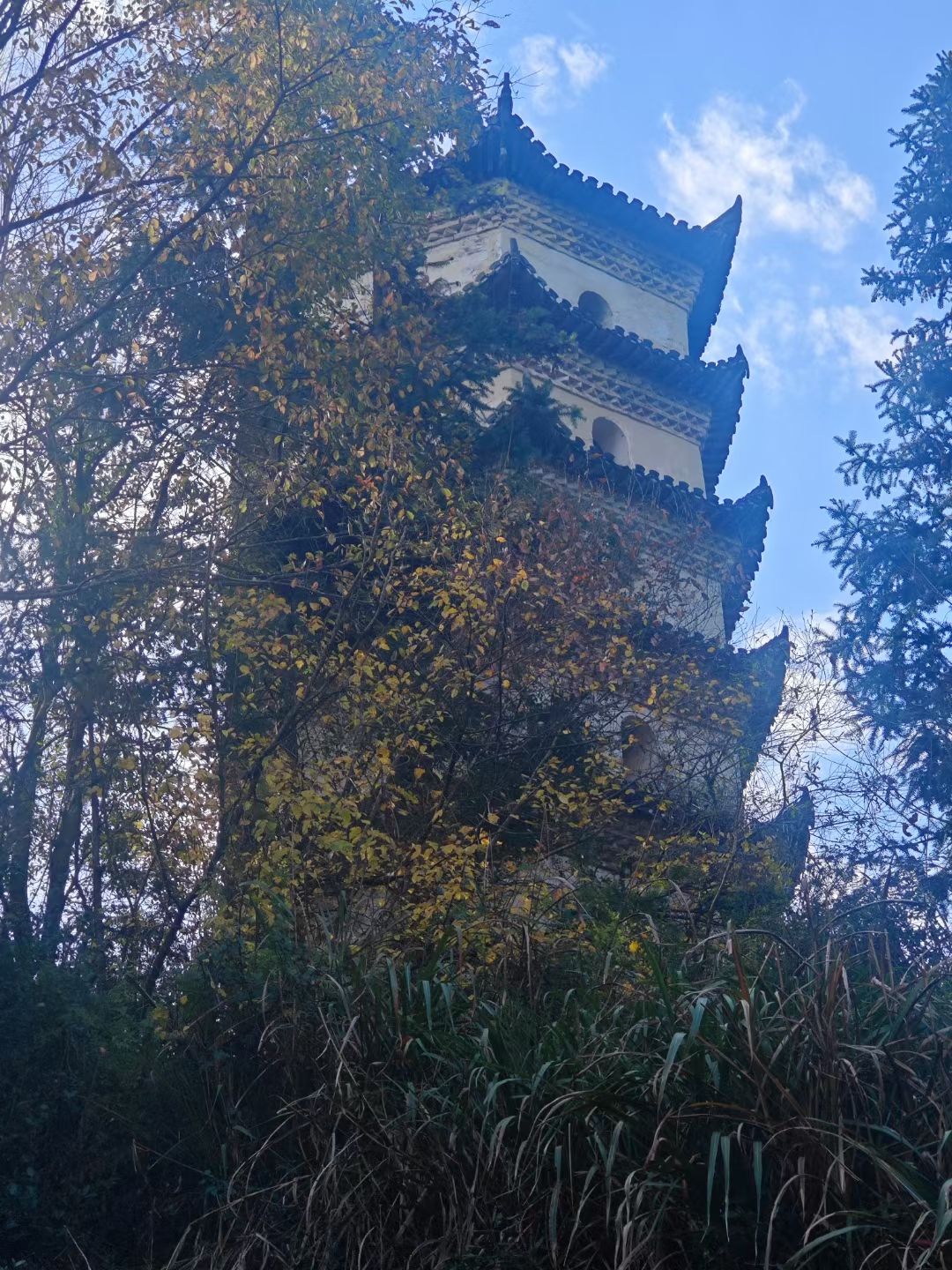 三合村旋溪塔旅行图片 1