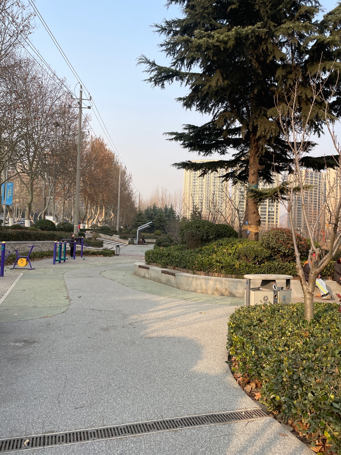 青小园-滴翠园旅行图片