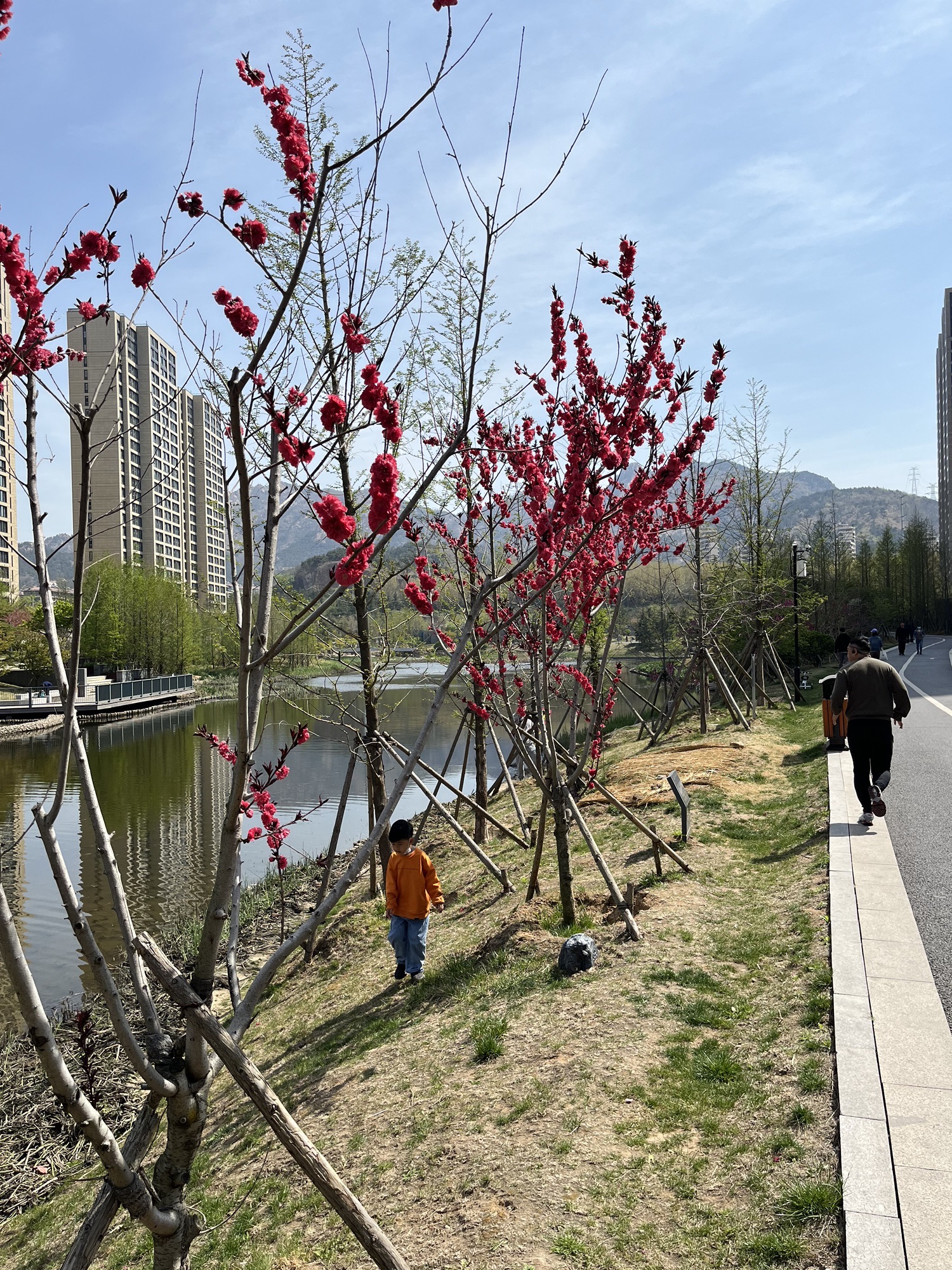 卧龙湖公园旅行图片 2