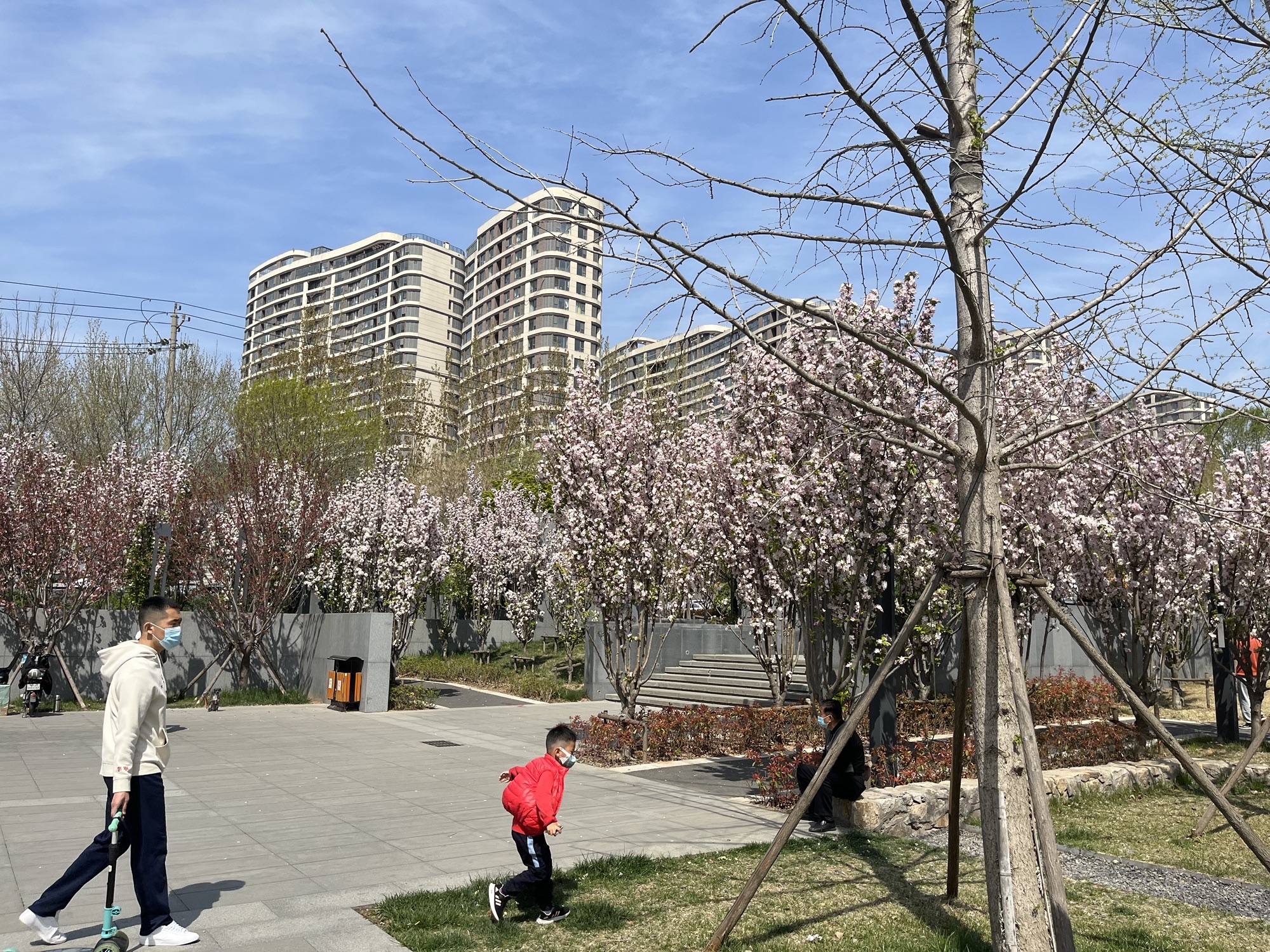 卧龙湖公园旅行图片 3