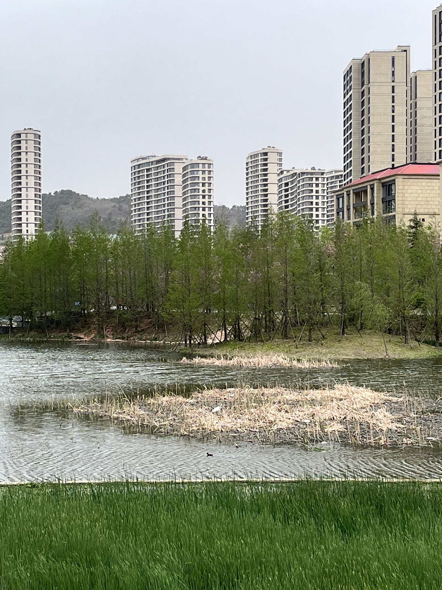 卧龙湖公园旅行图片 1