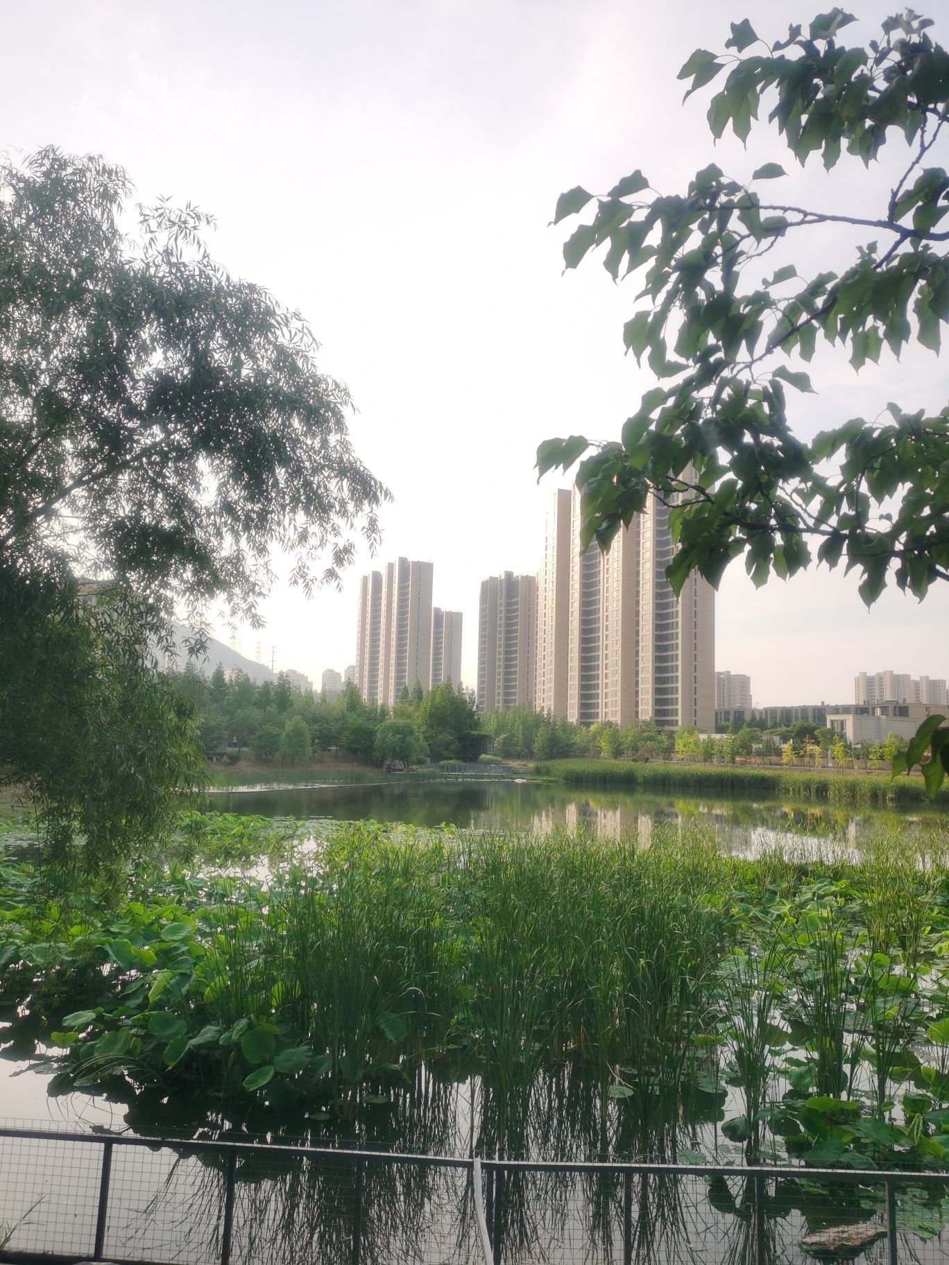 卧龙湖公园旅行图片 3