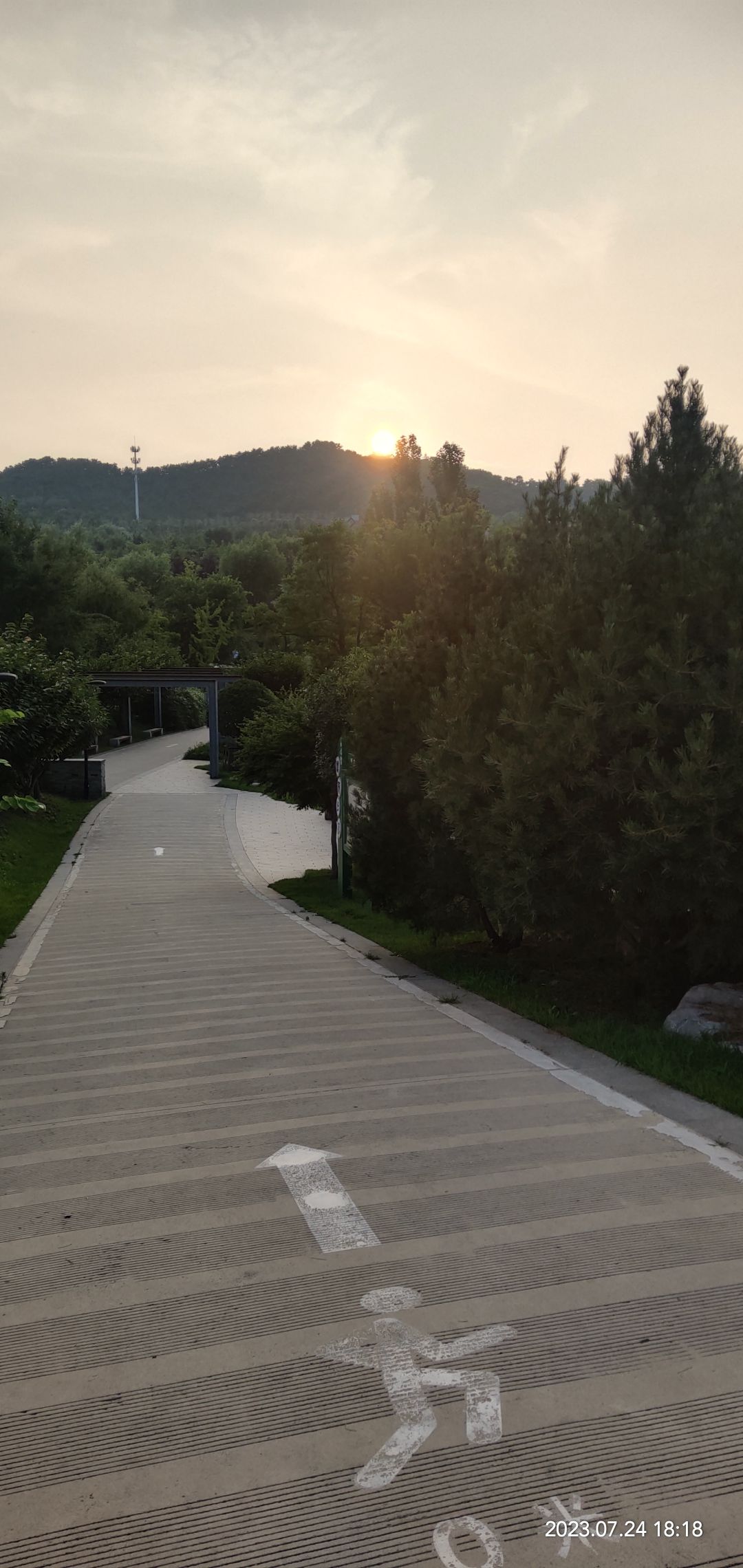 卧龙湖公园旅行图片 3