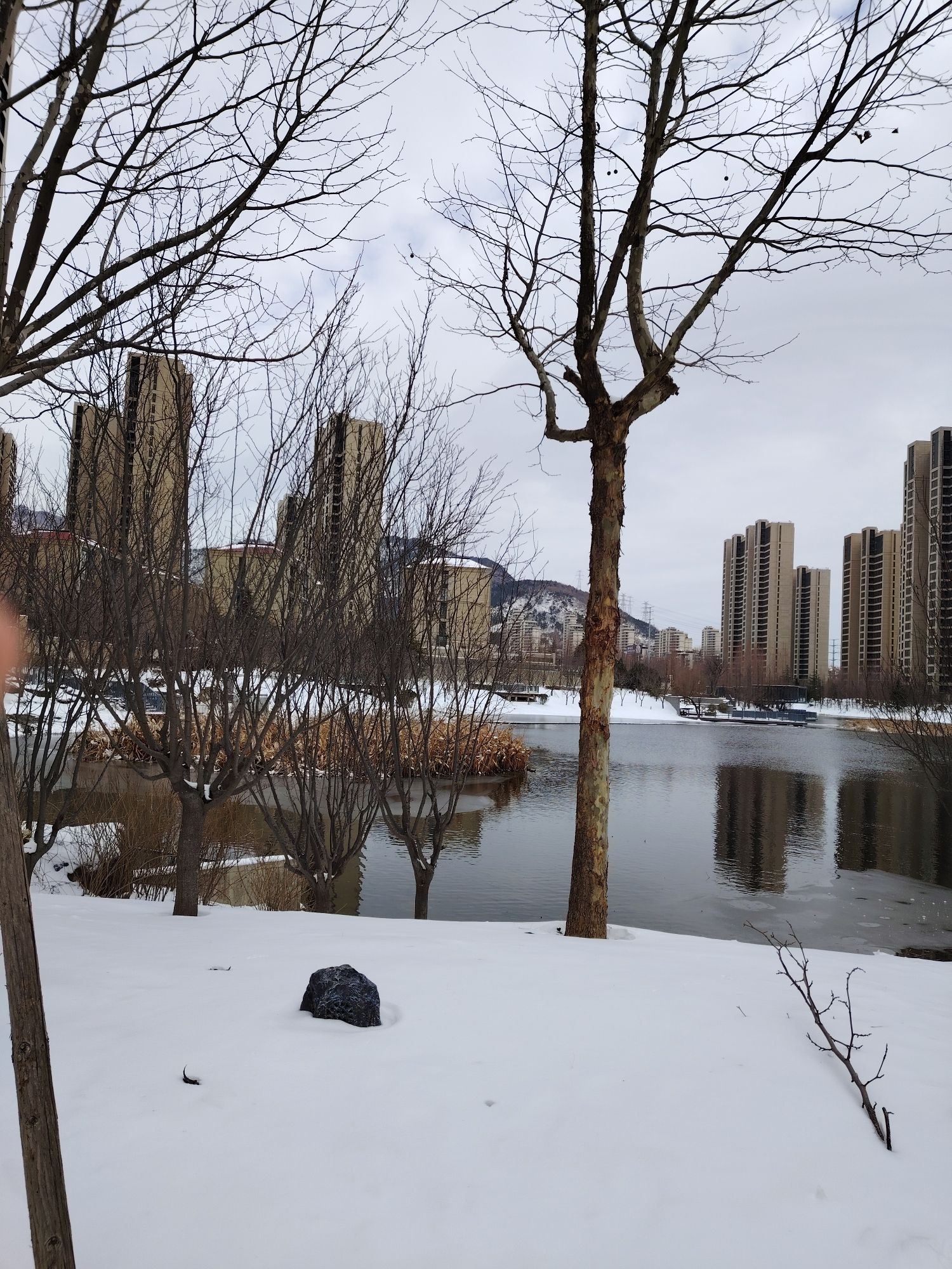 卧龙湖公园旅行图片 1