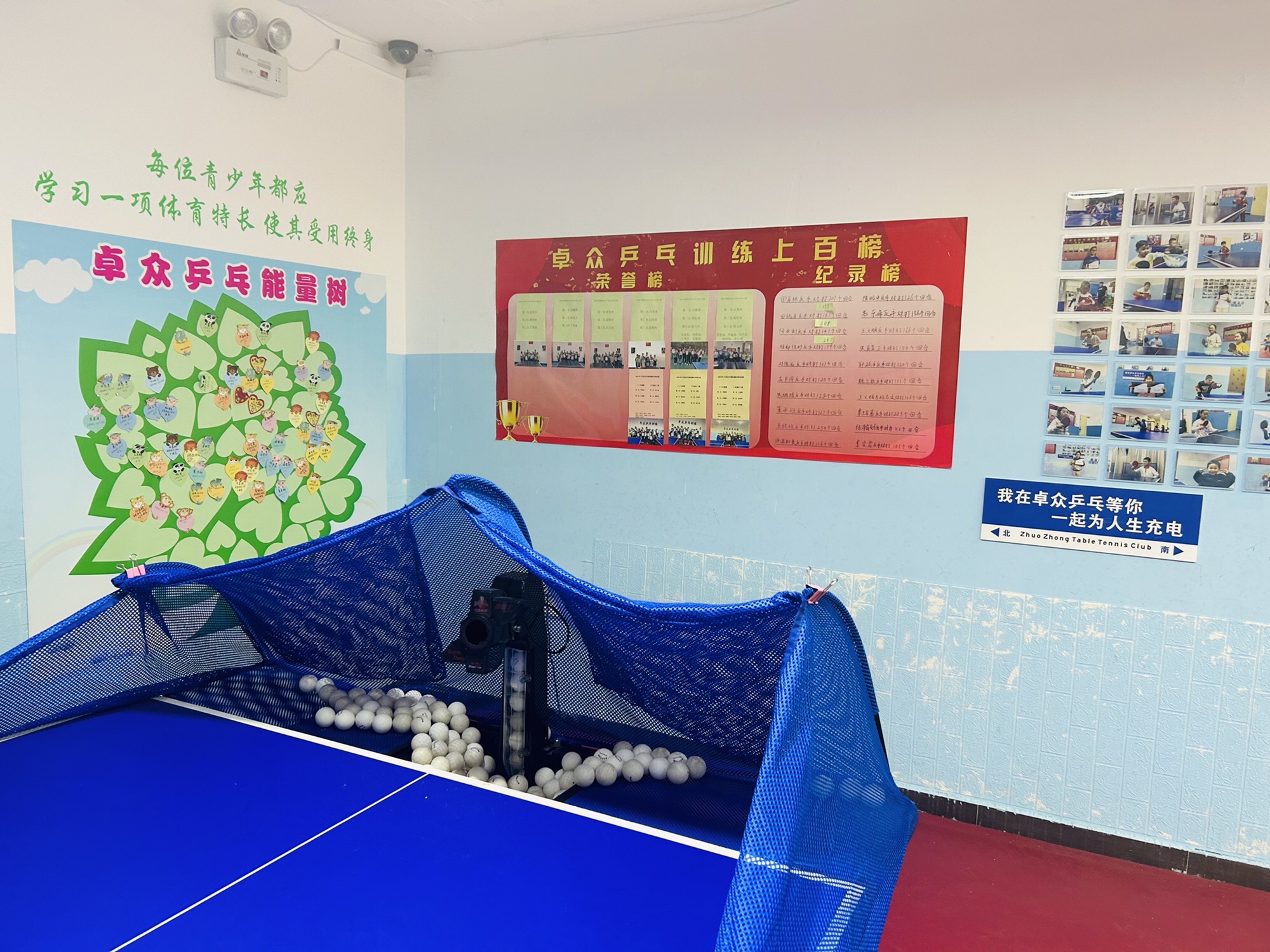 场地封面-卓众乒乓球俱乐部