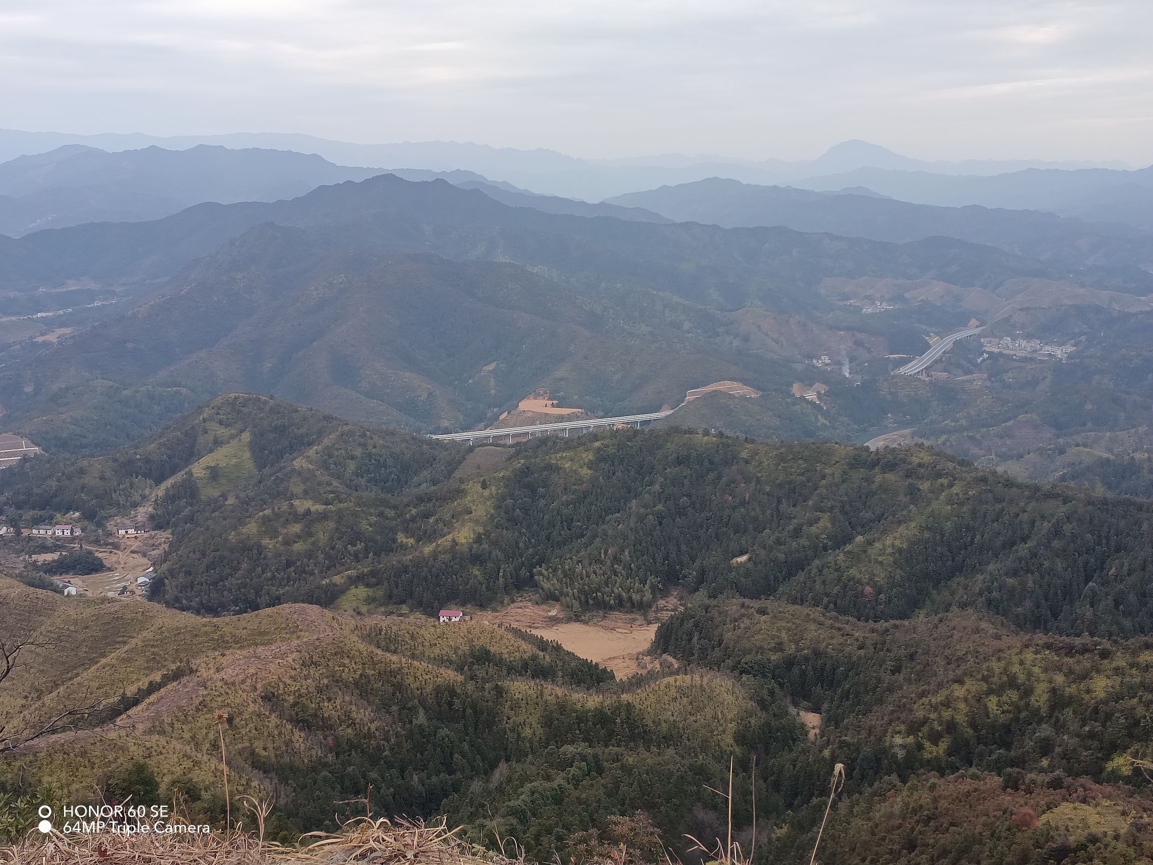 鹤堂仙旅行图片 3