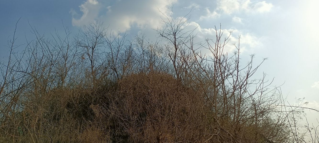 宫家岛烽火台旅行图片 3