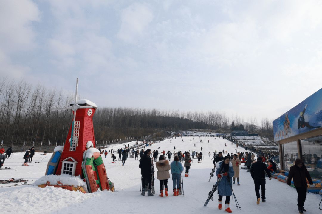 金湖荷花荡滑雪场(暂停开放)旅行图片 1