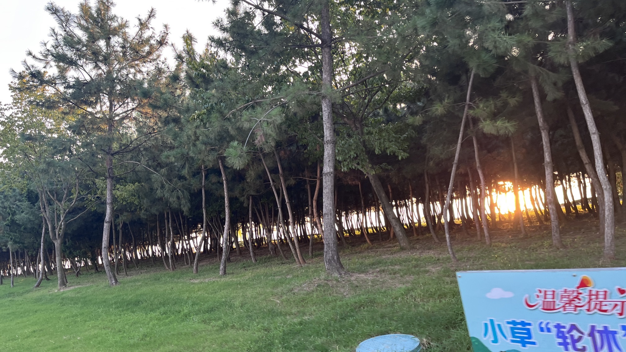 滨河公园旅行图片 3