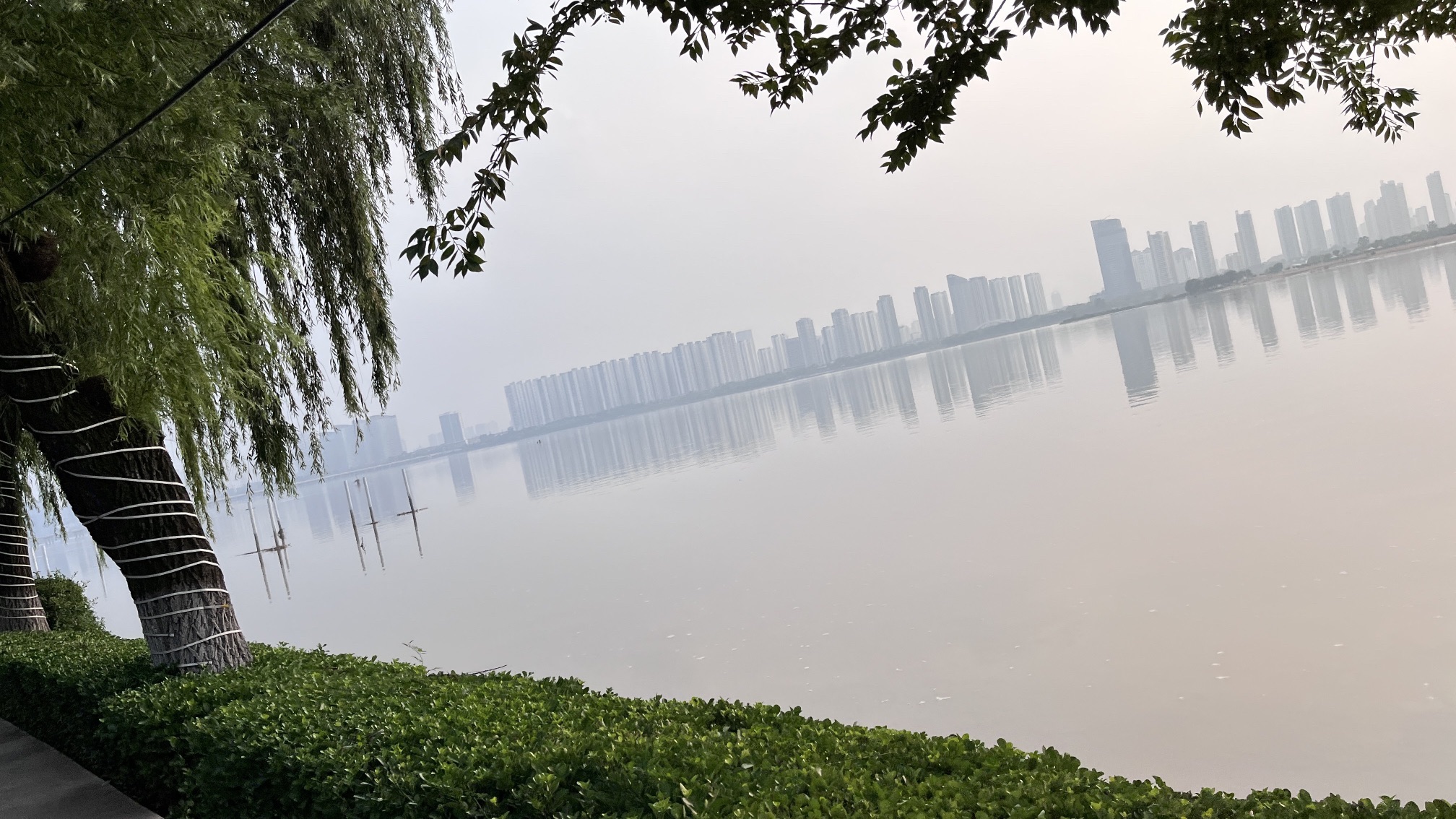 滨河公园旅行图片 2