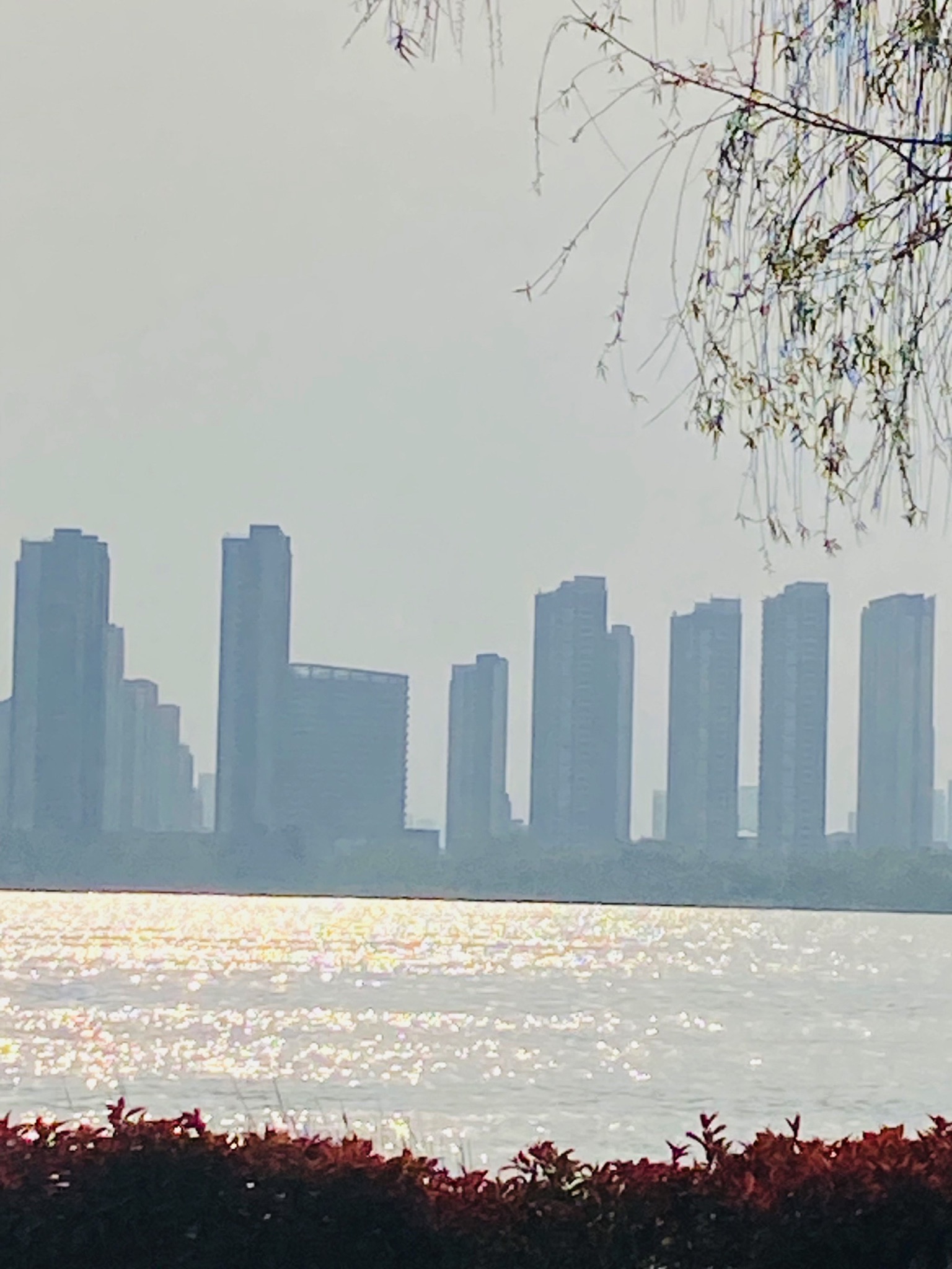 滨河公园旅行图片 1