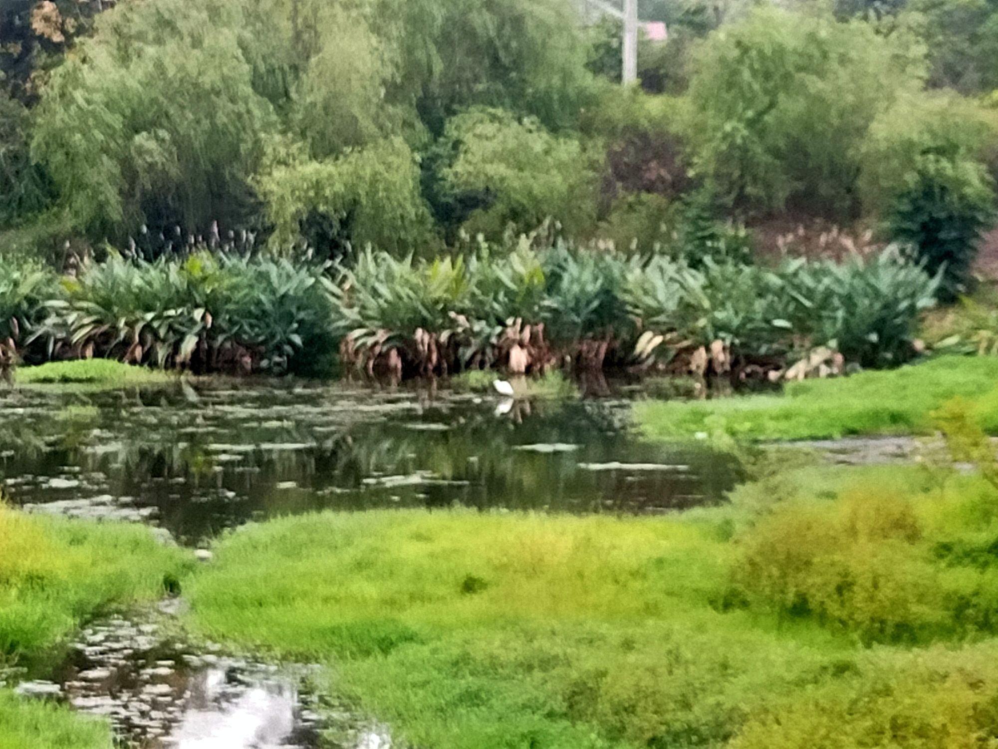 石梁麻蓬村生态旅游区旅行图片 2