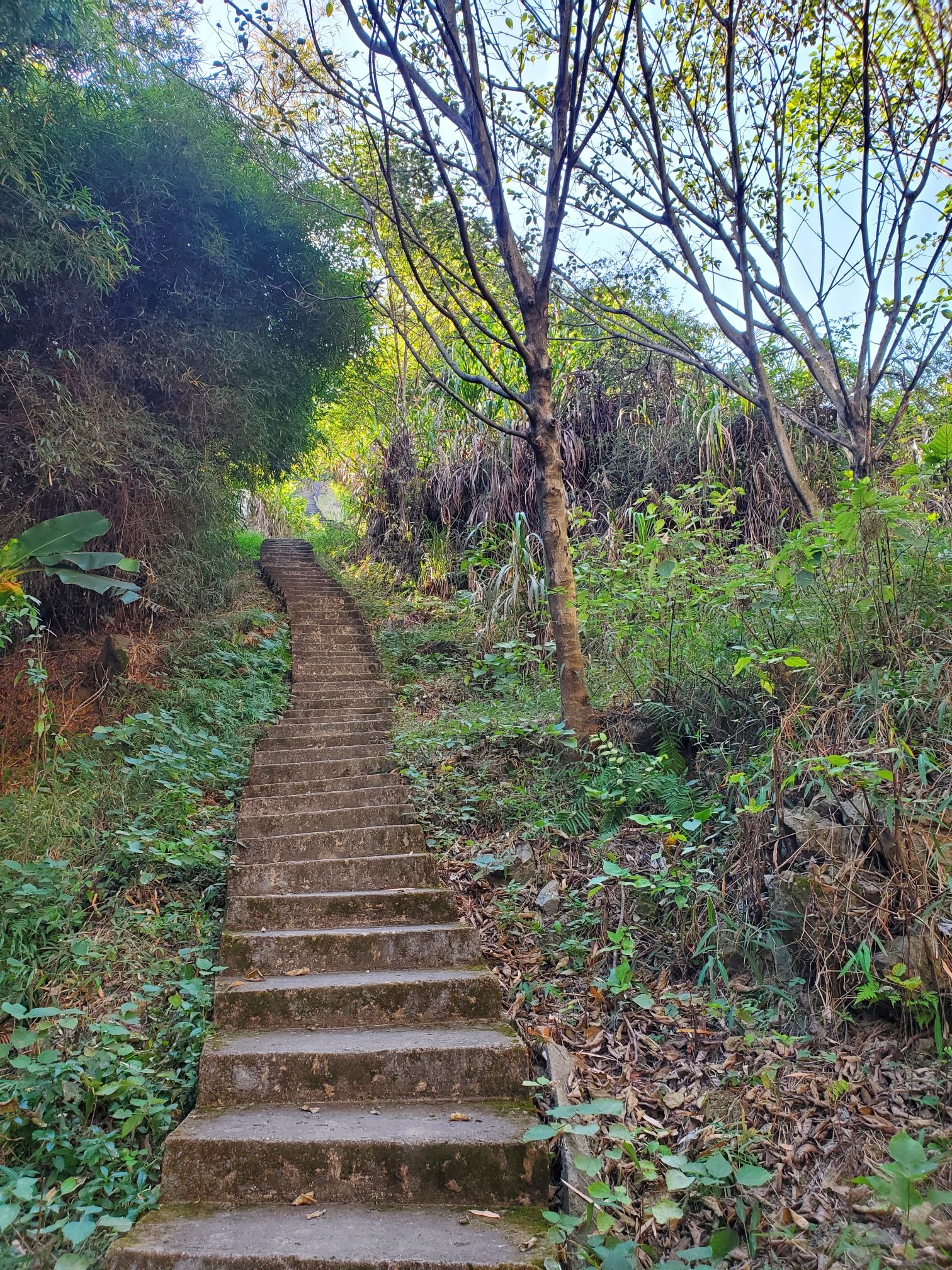 芙蓉文化广场旅行图片 1