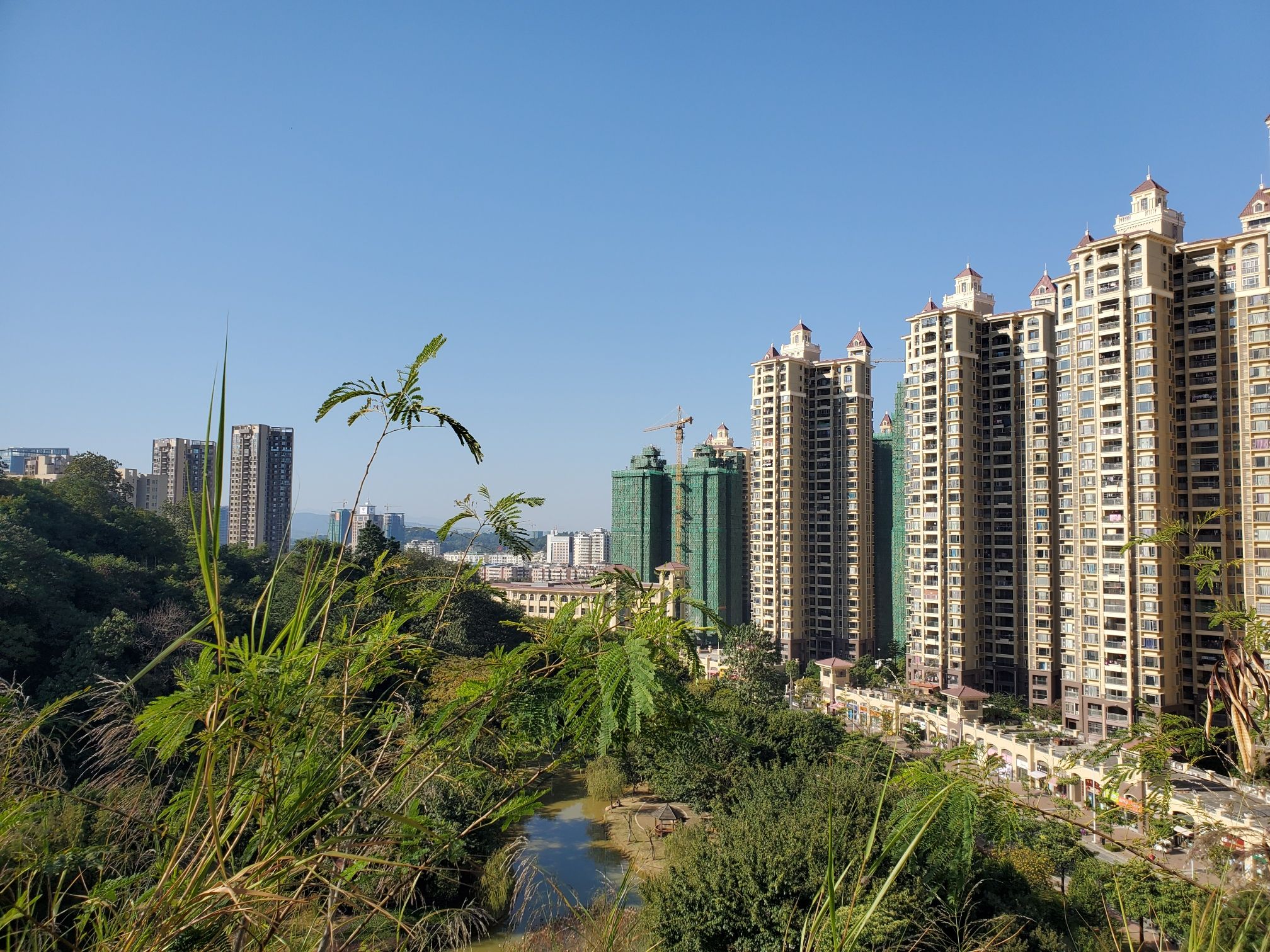 芙蓉文化广场旅行图片 3
