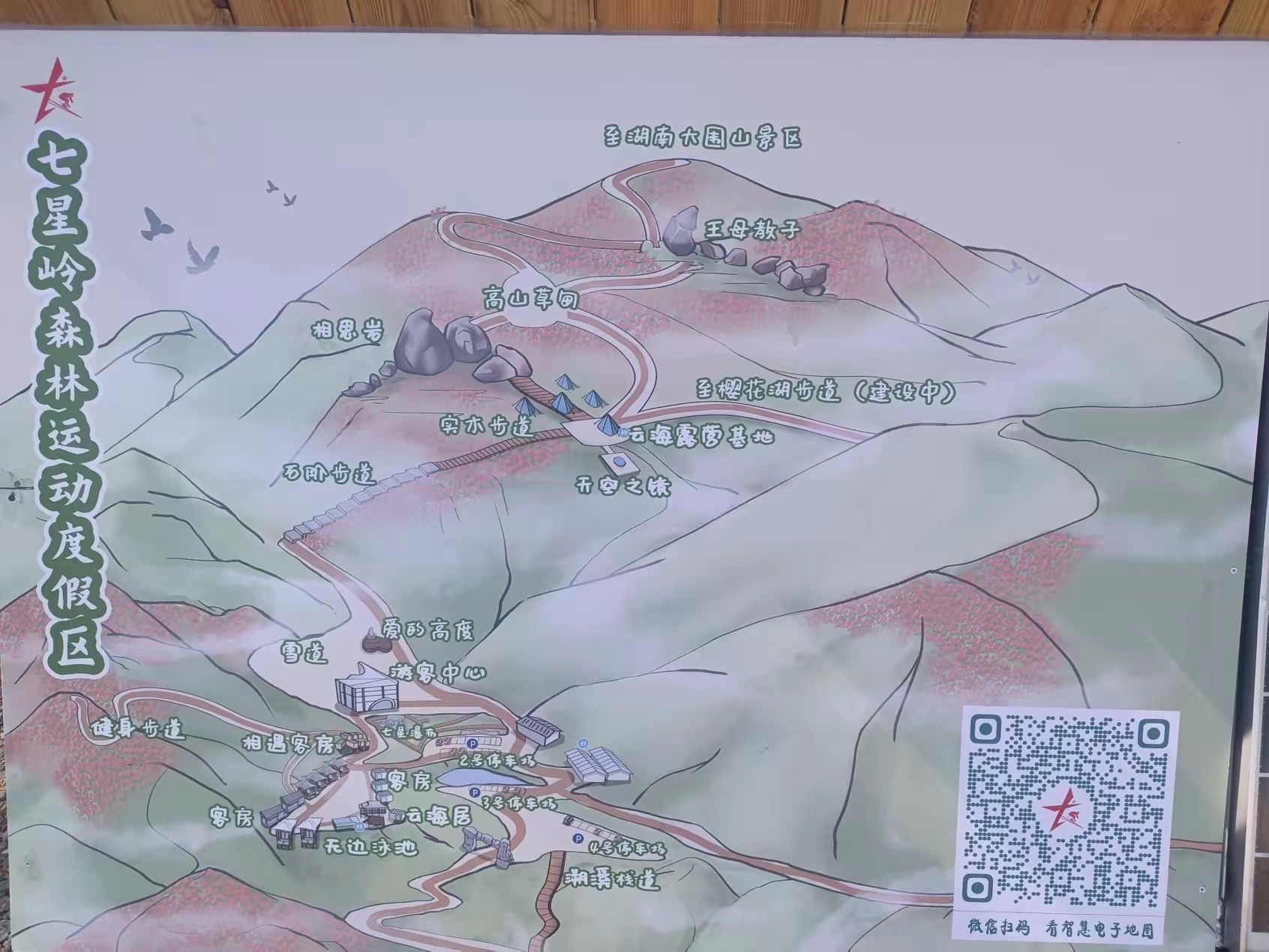 七星岭森林运动度假区旅行图片 3