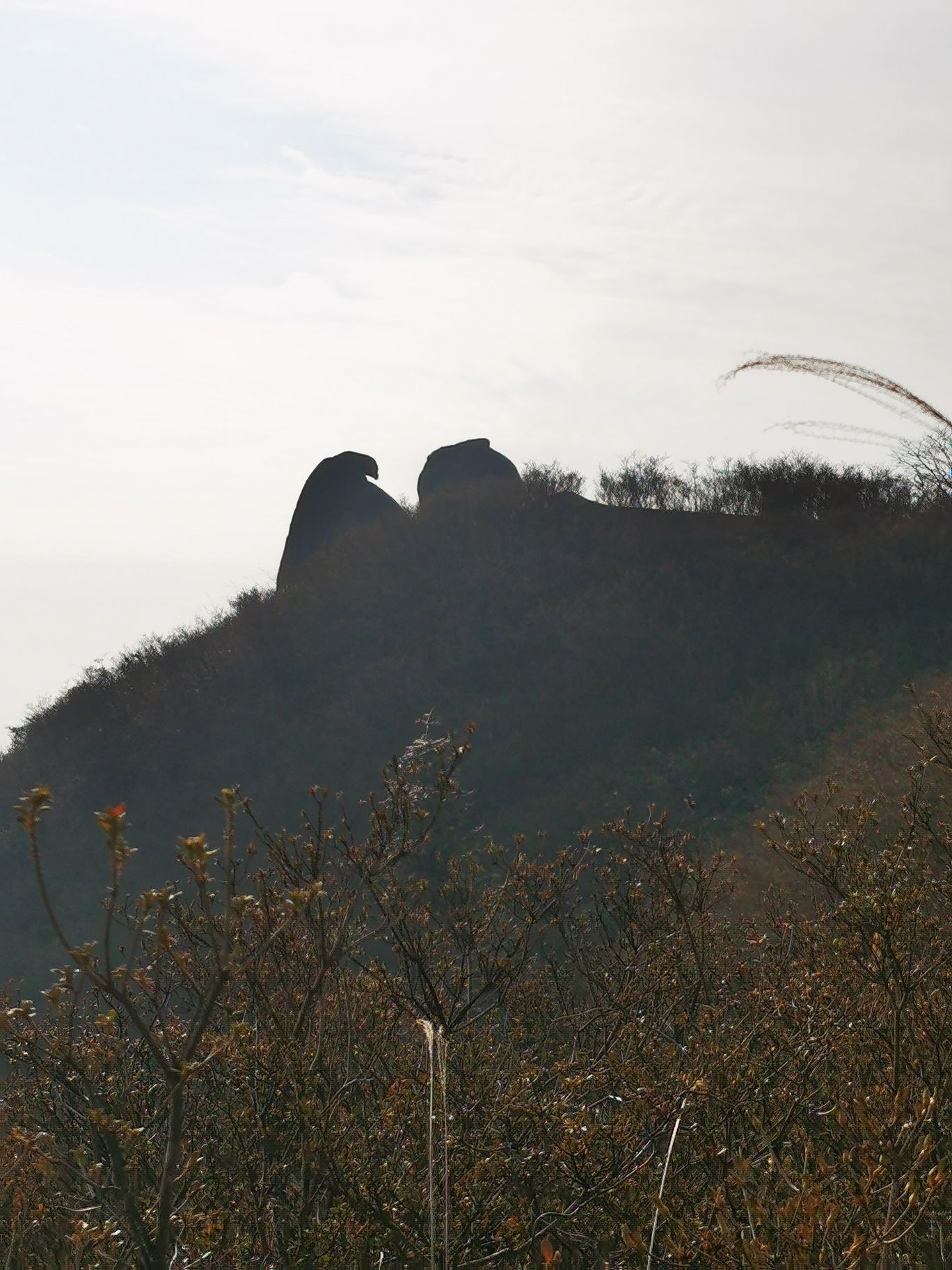 七星岭森林运动度假区旅行图片 1
