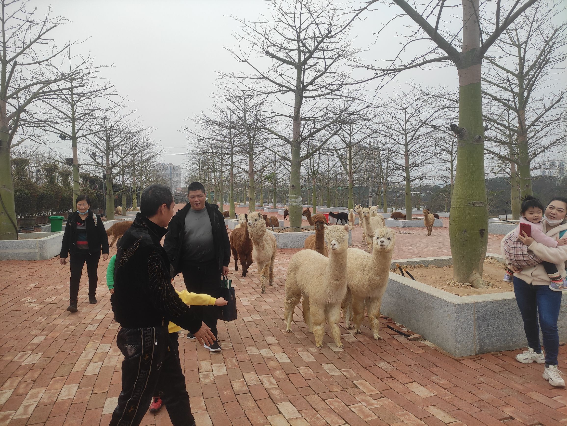 南宁伊特诺·艺术花园旅行图片 1