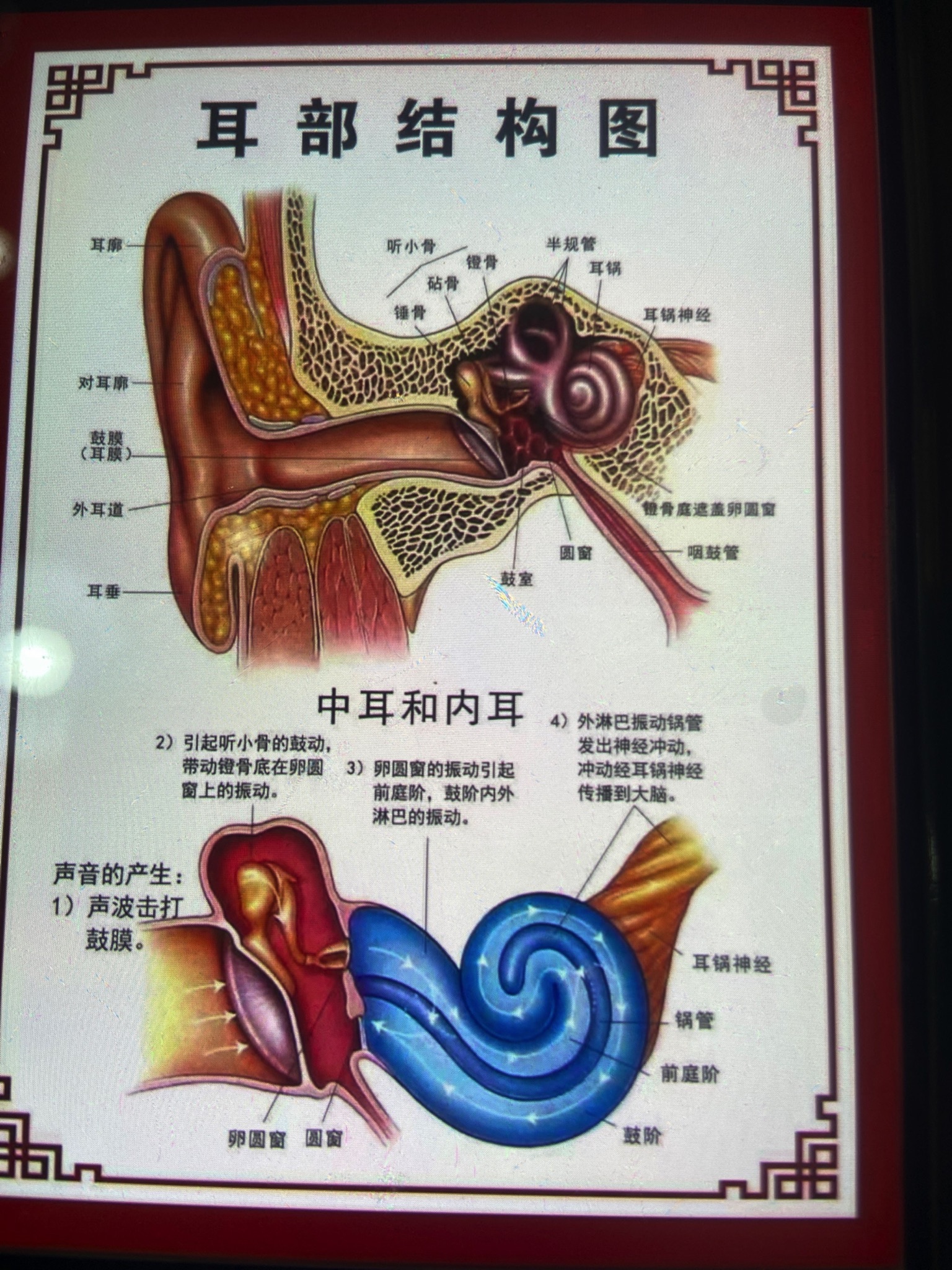 自然之声助听器·呼吸机(南京溧水店)