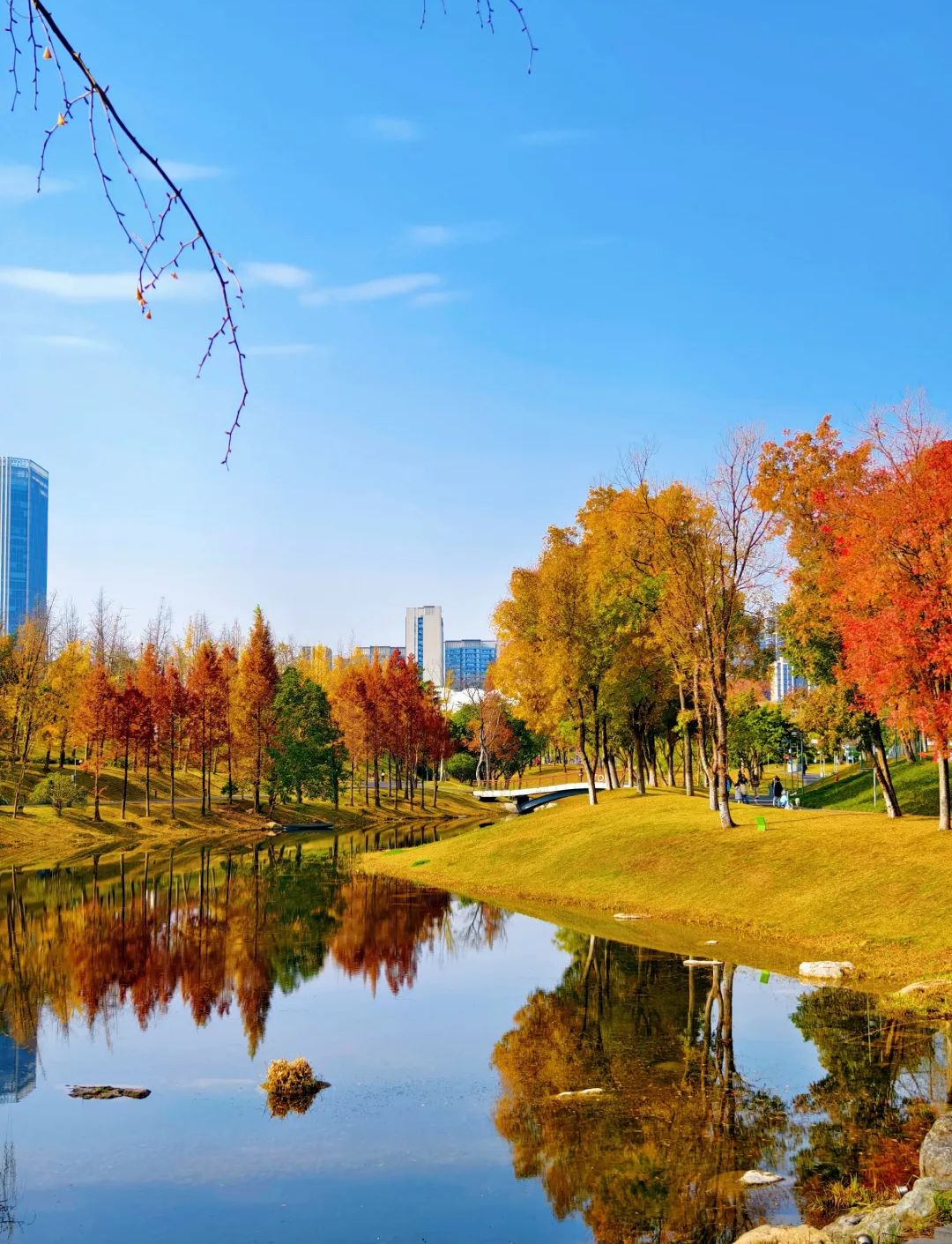 天府森林公园旅行图片 1