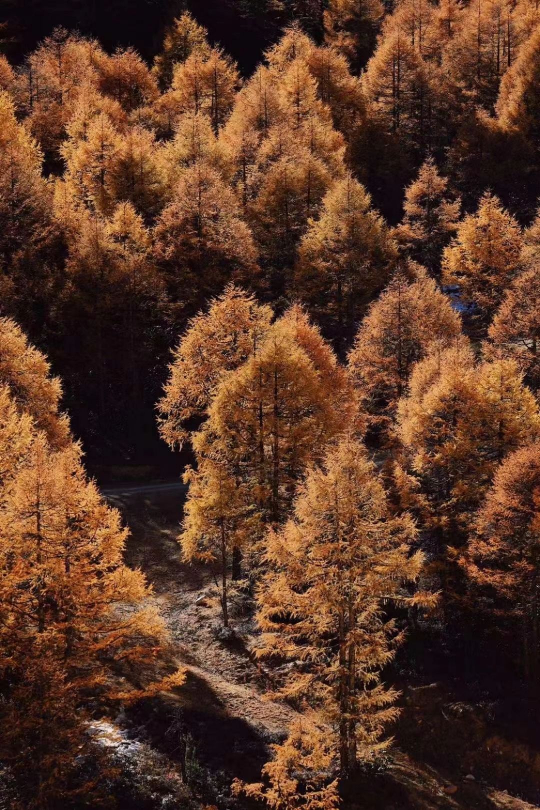 博什瓦黑岩画(暂停开放)旅行图片 2