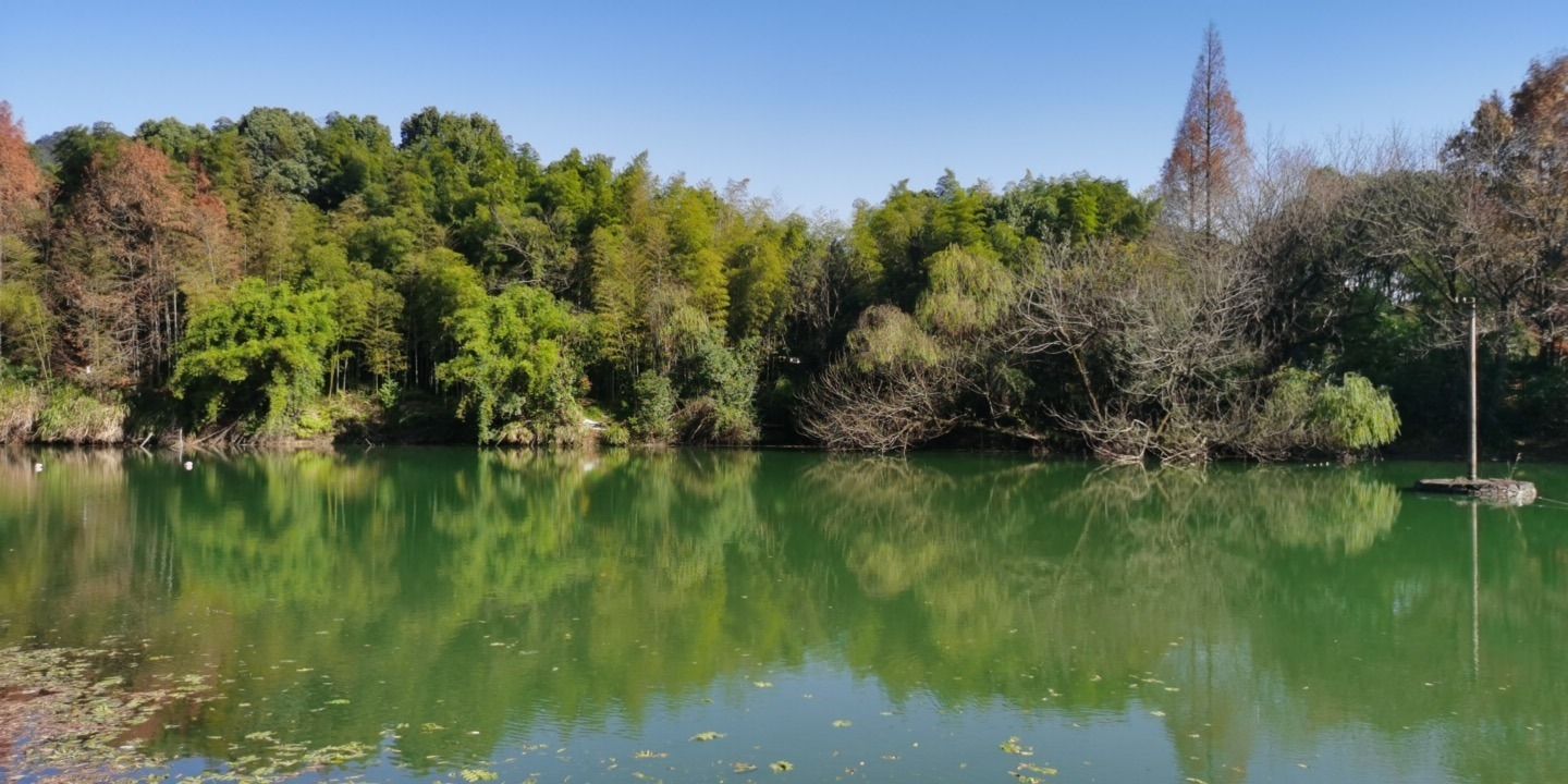 场地封面-金都网球湖畔森林营地钓场