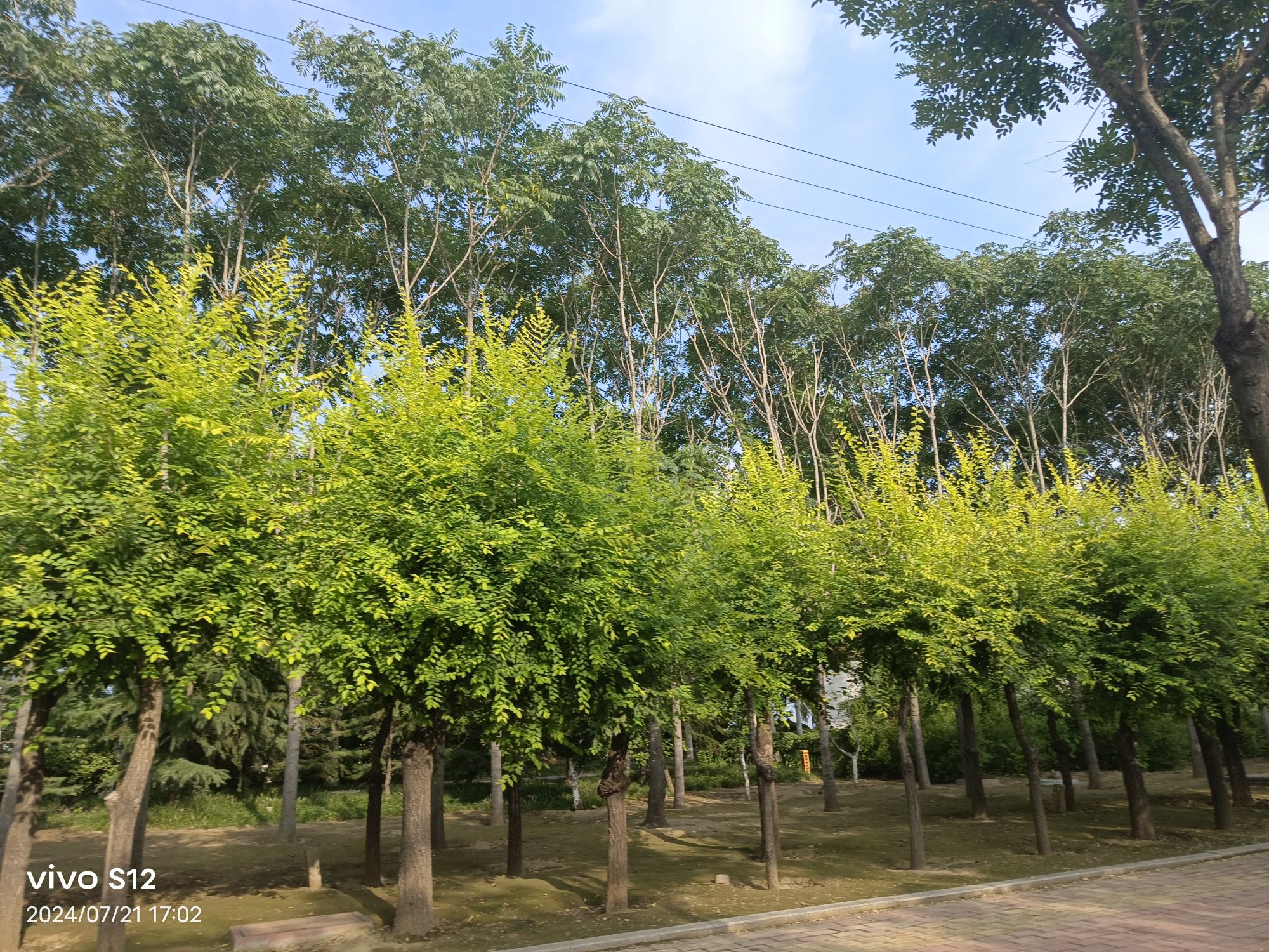 山东省广饶县龙岛旅行图片 3