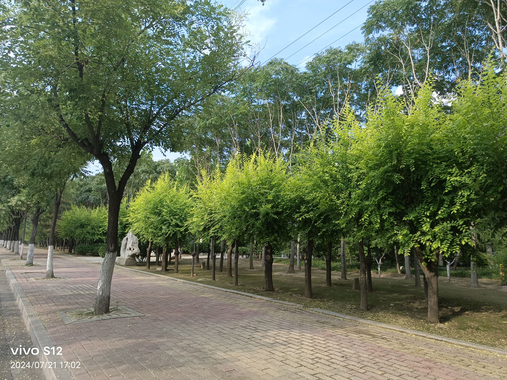 山东省广饶县龙岛旅行图片 1