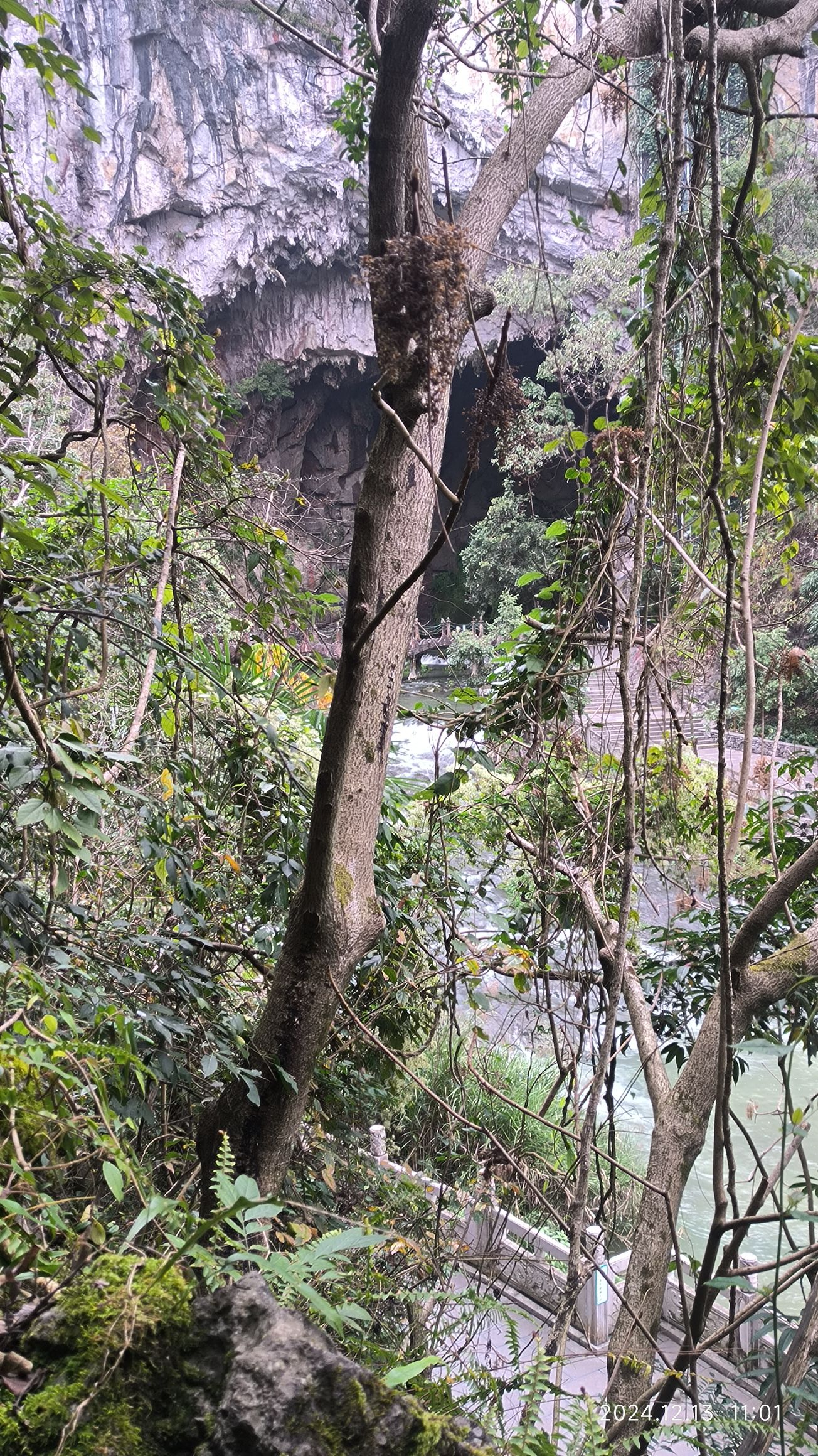 龙字田观景台旅行图片 1