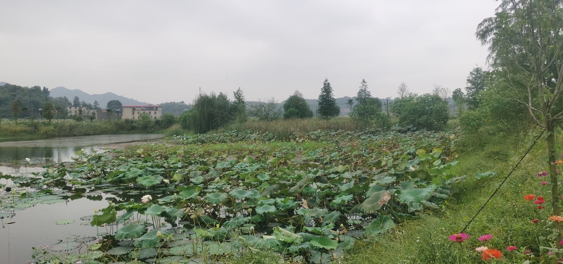 南阳湿地公园旅行图片 2