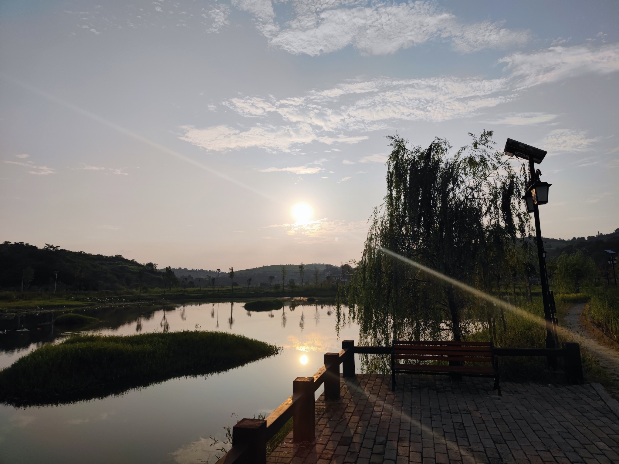 南阳湿地公园旅行图片 3
