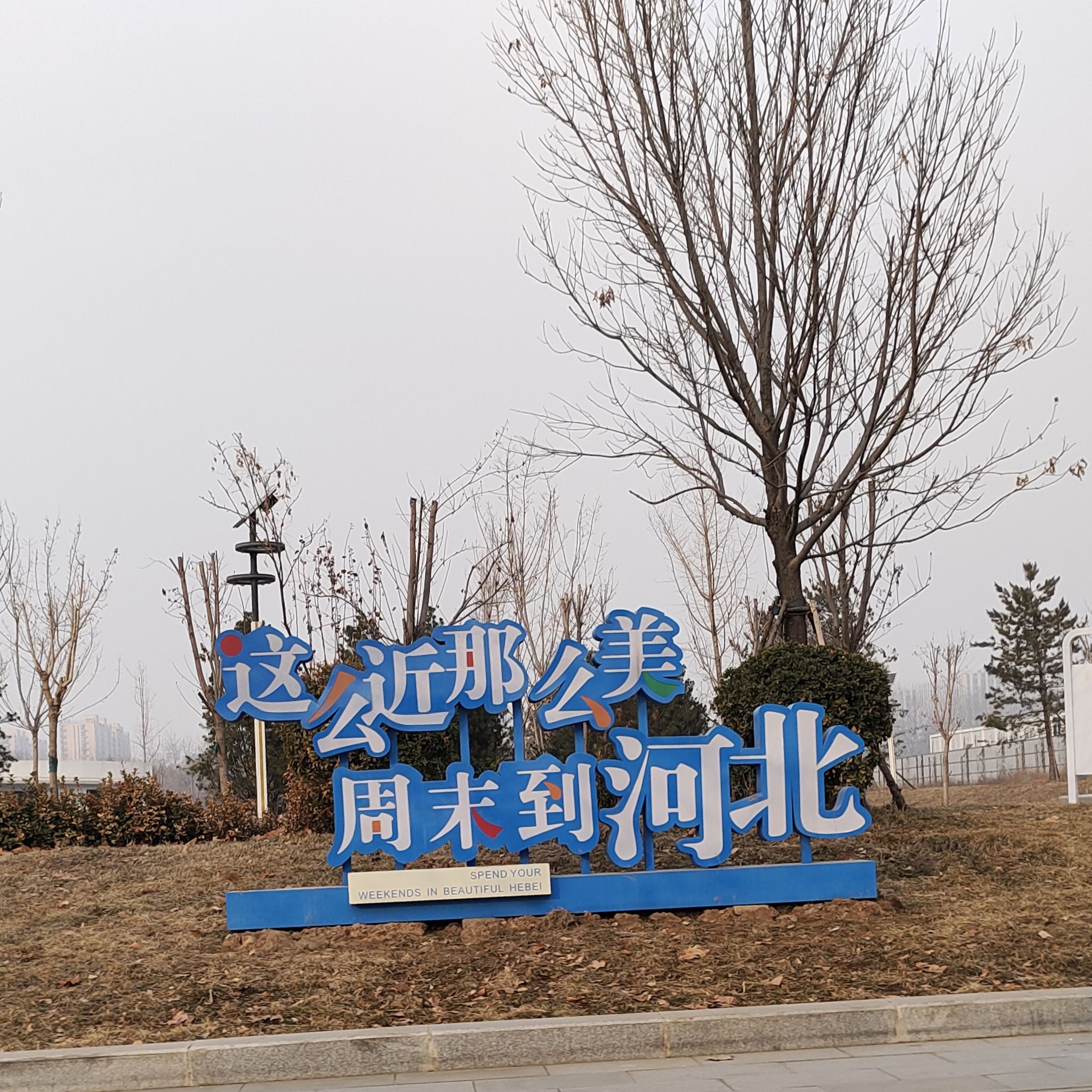 友谊运动公园旅行图片 2