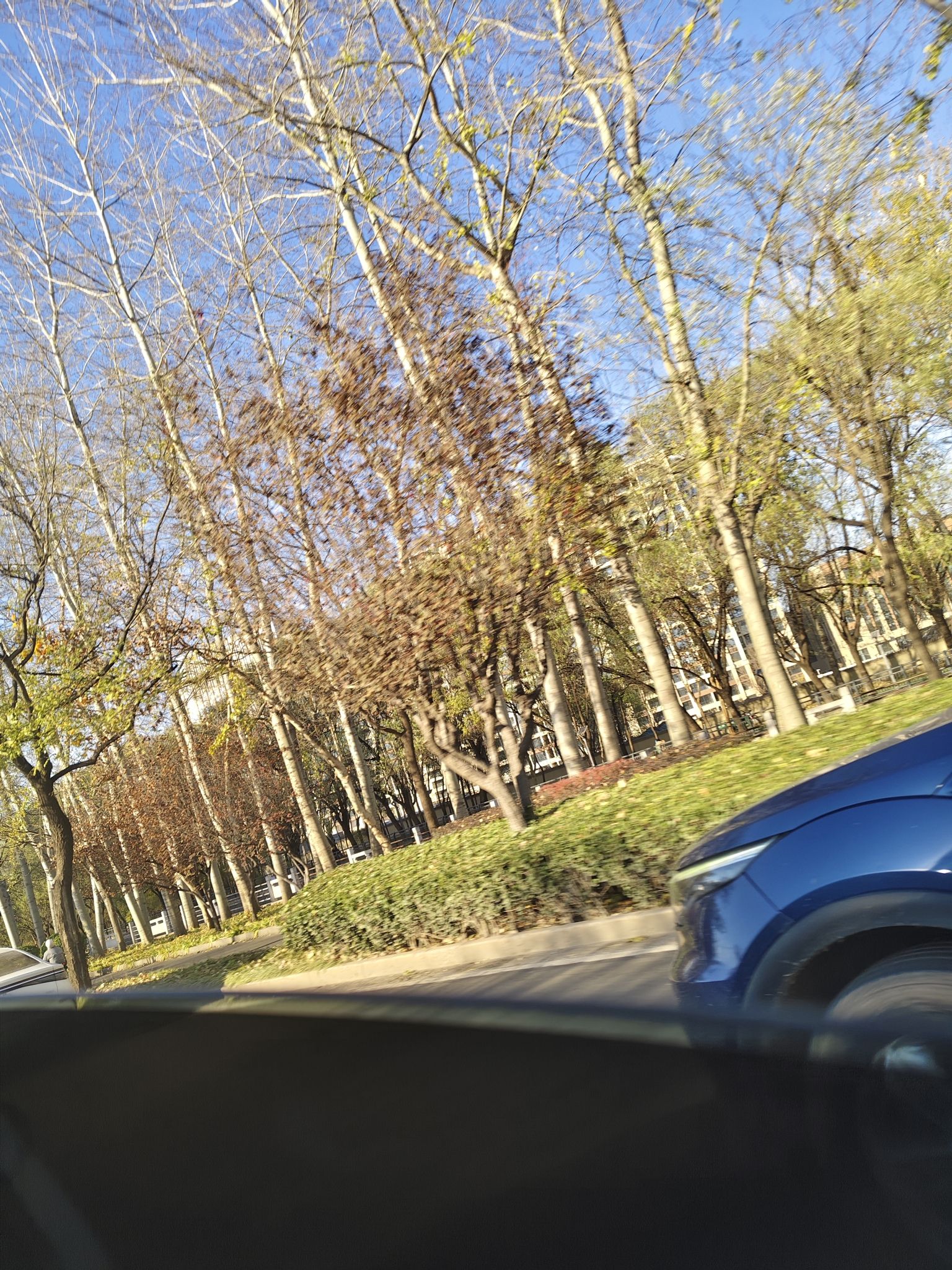 友谊运动公园旅行图片 3