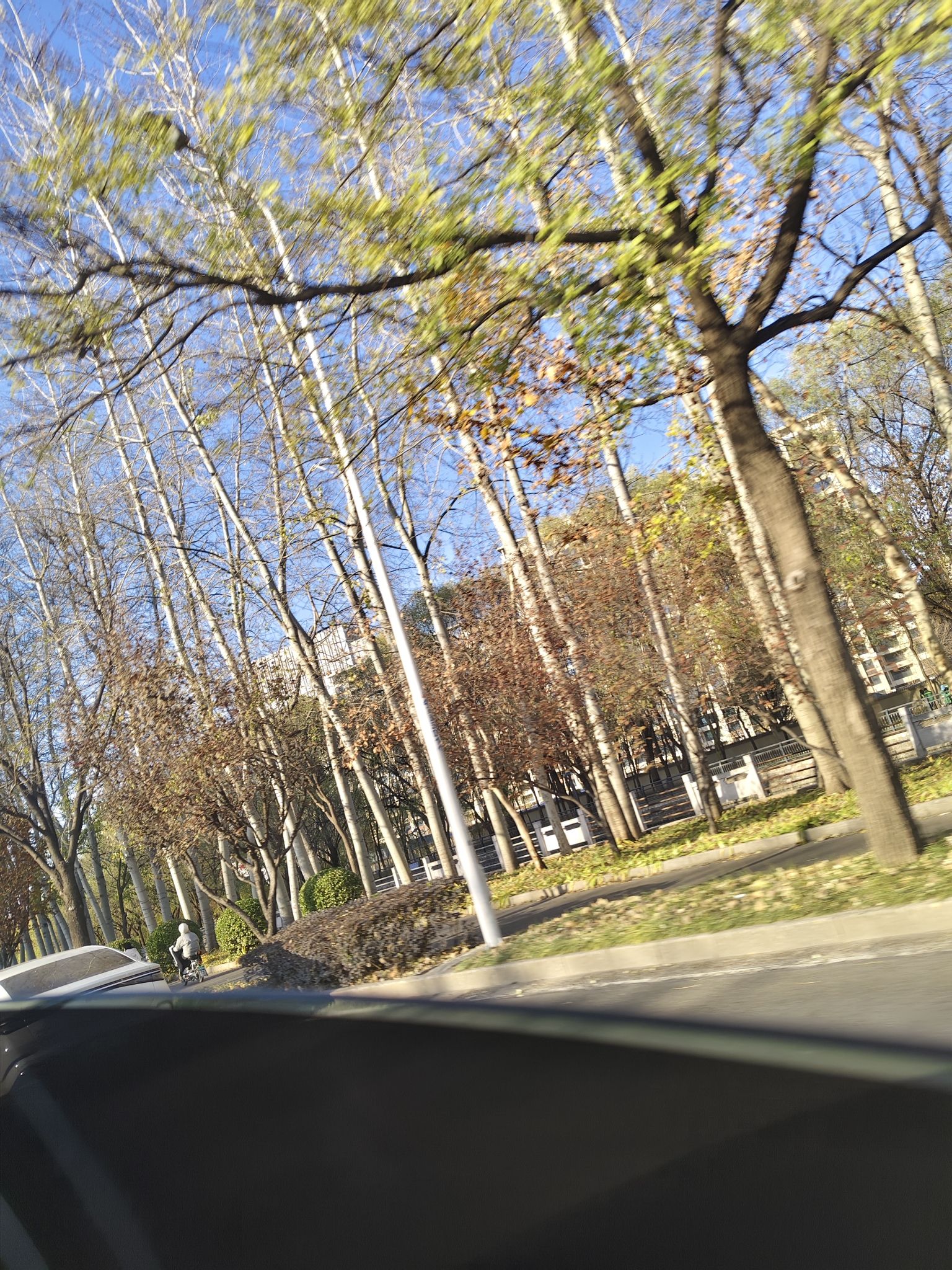 友谊运动公园旅行图片 2