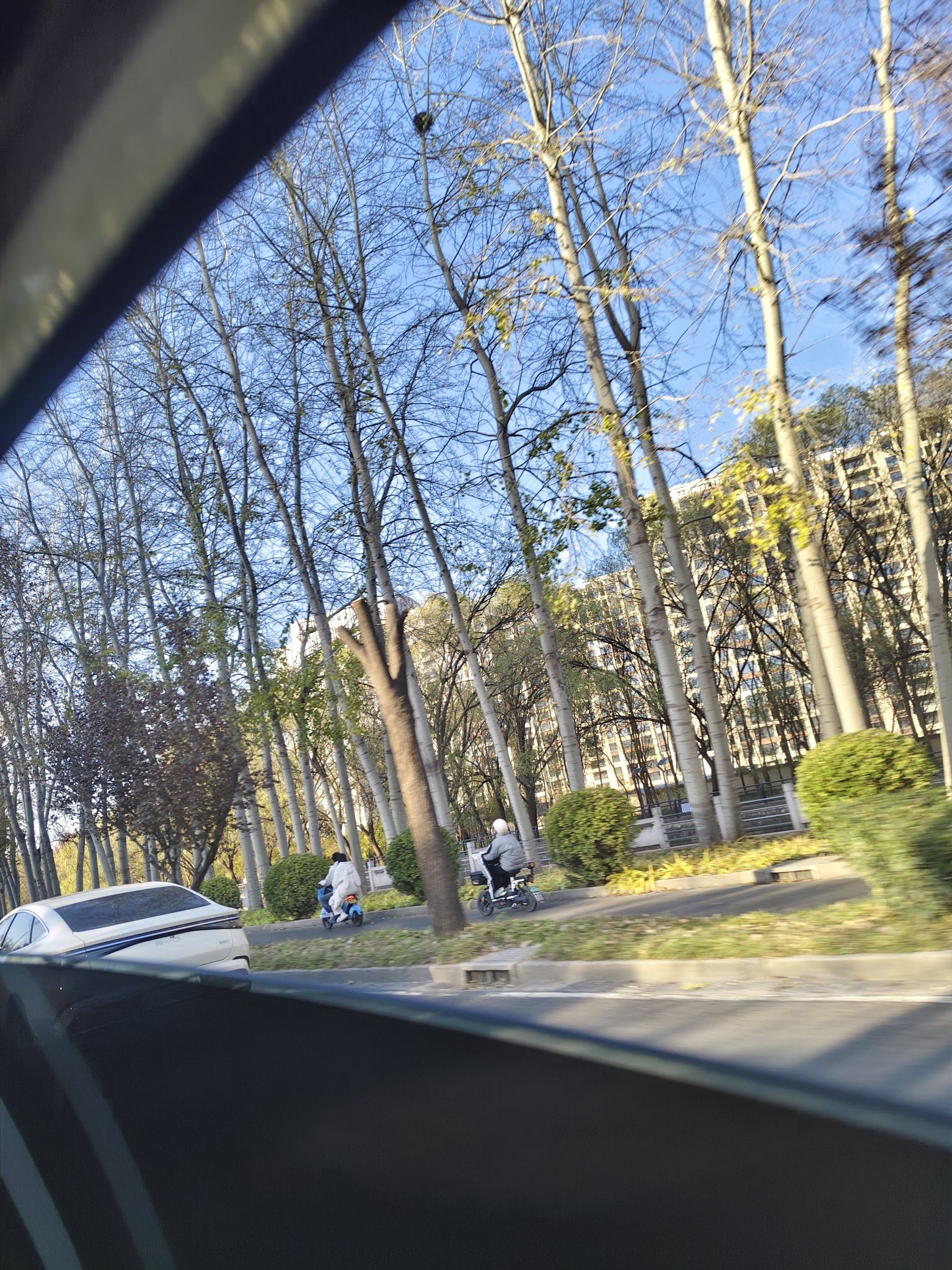 友谊运动公园旅行图片 1