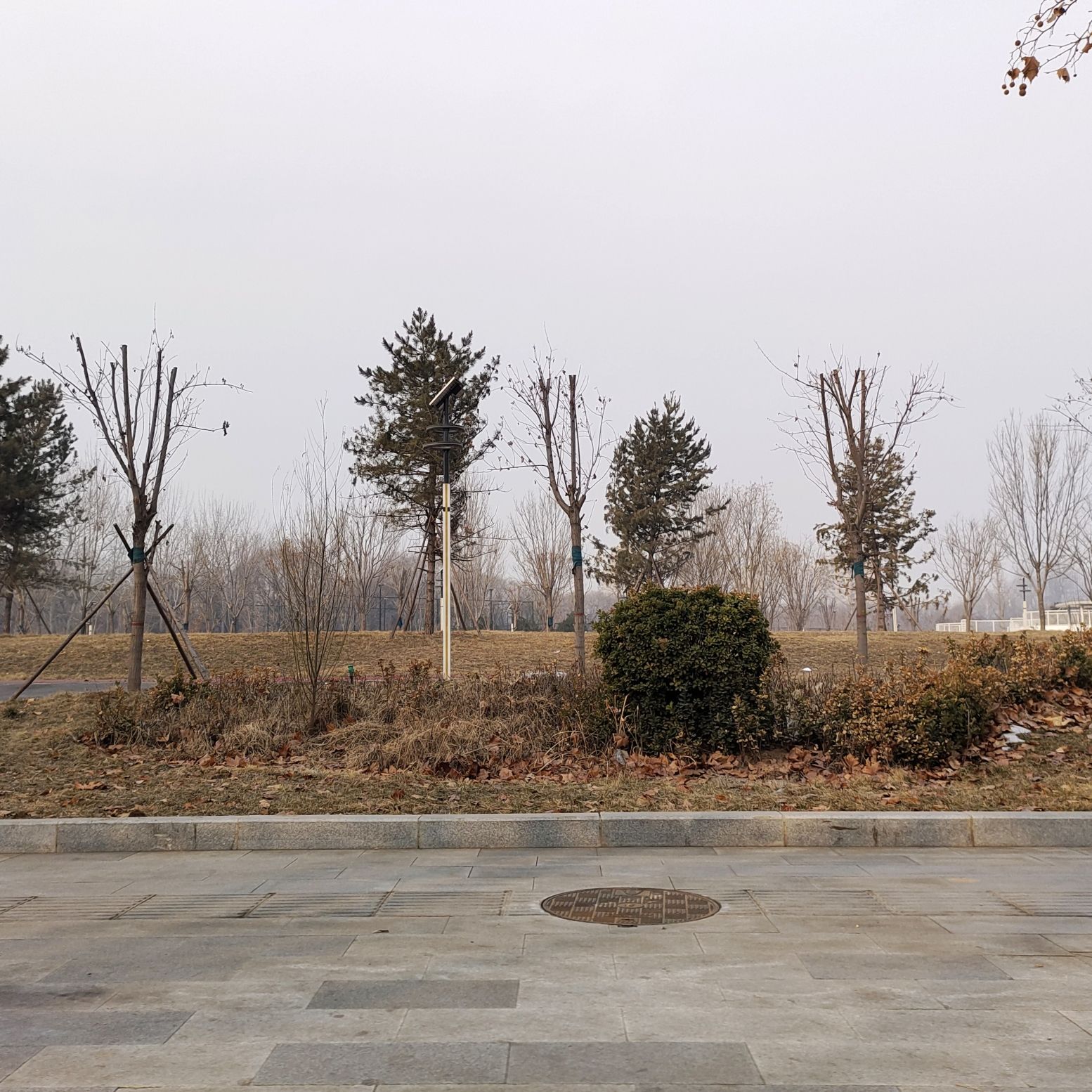 友谊运动公园旅行图片 3
