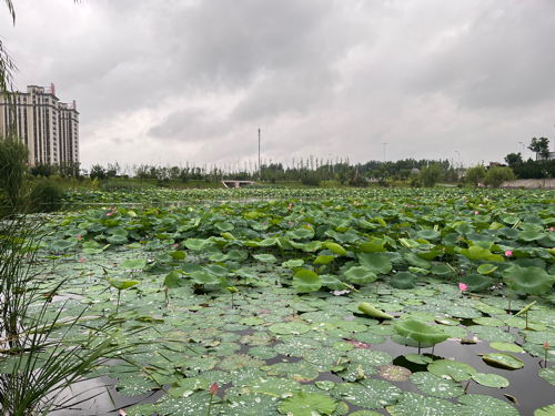 泰悦湖滨湖广场