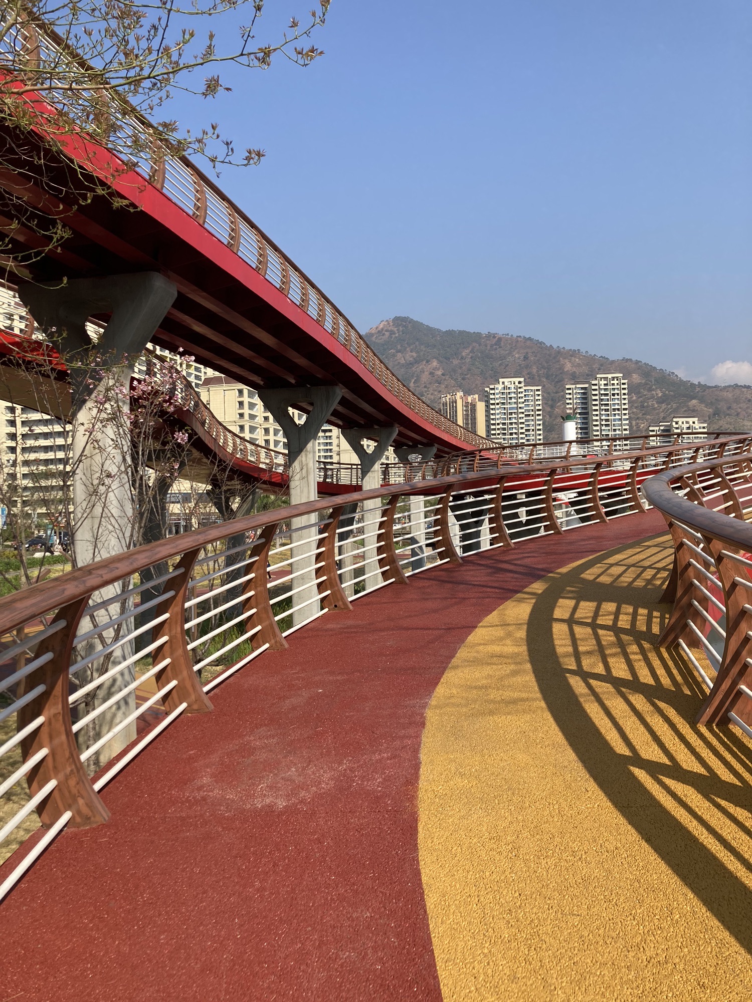米易县城南生态湿地公园旅行图片 1
