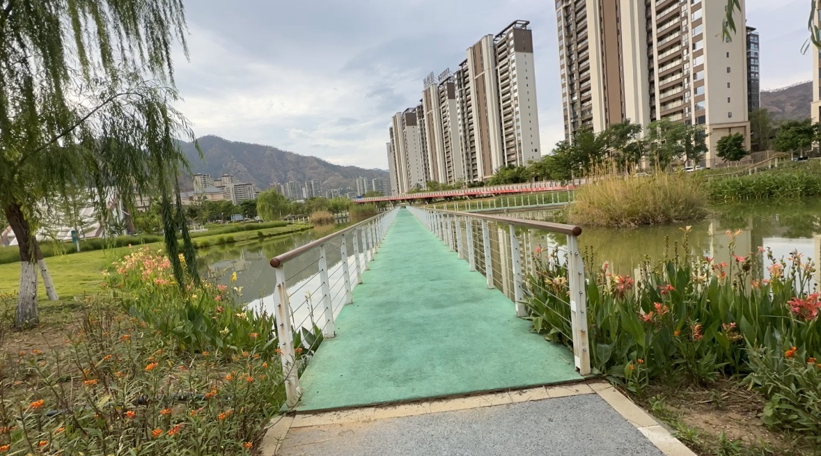 米易县城南生态湿地公园旅行图片 1