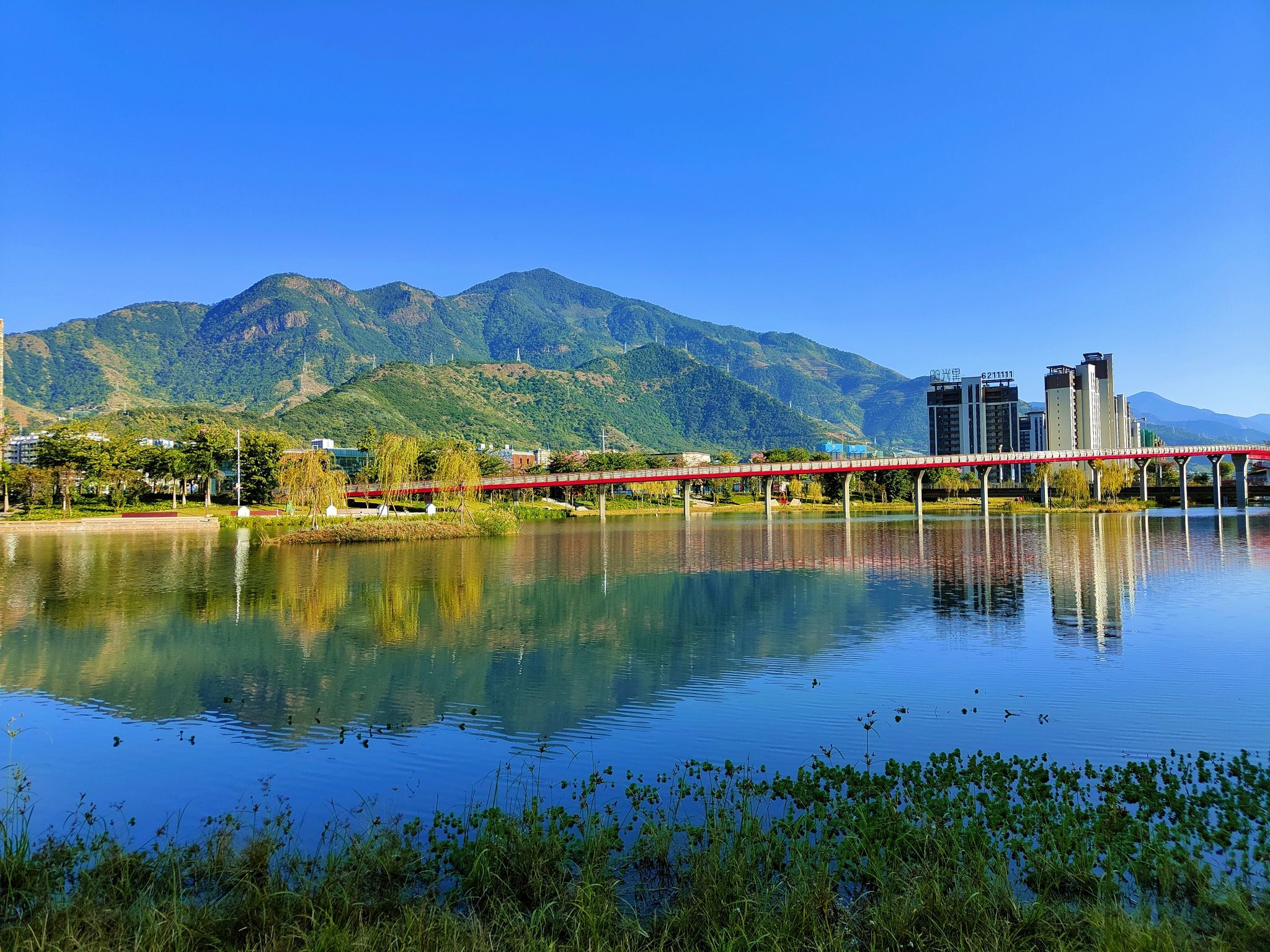 米易县城南生态湿地公园旅行图片 3