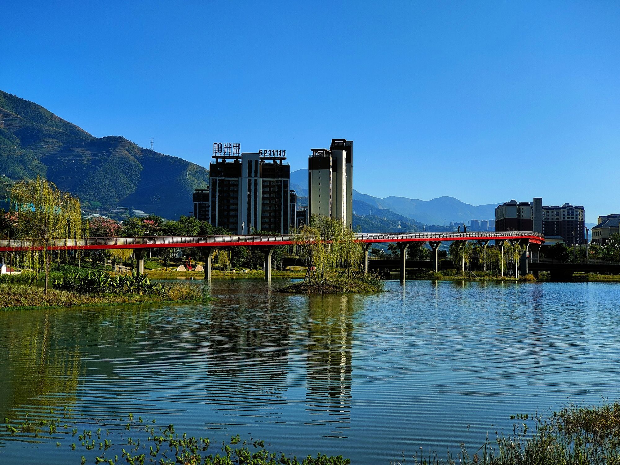 米易县城南生态湿地公园旅行图片 2