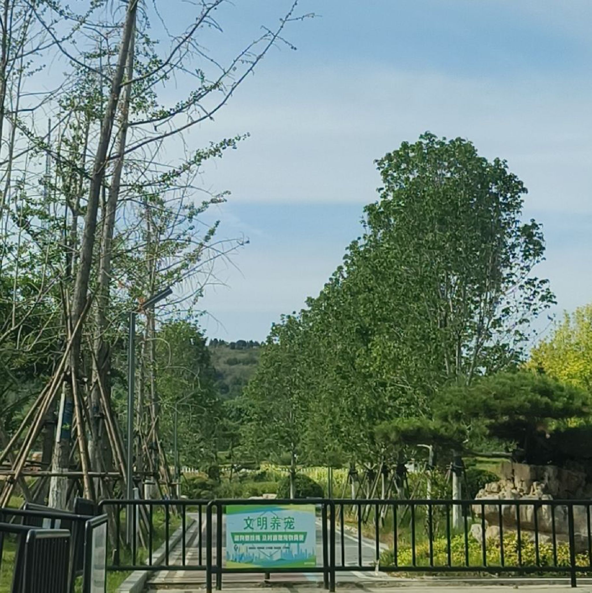 黄山公园旅行图片 1