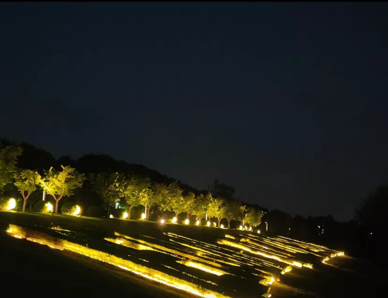 黄山公园旅行图片