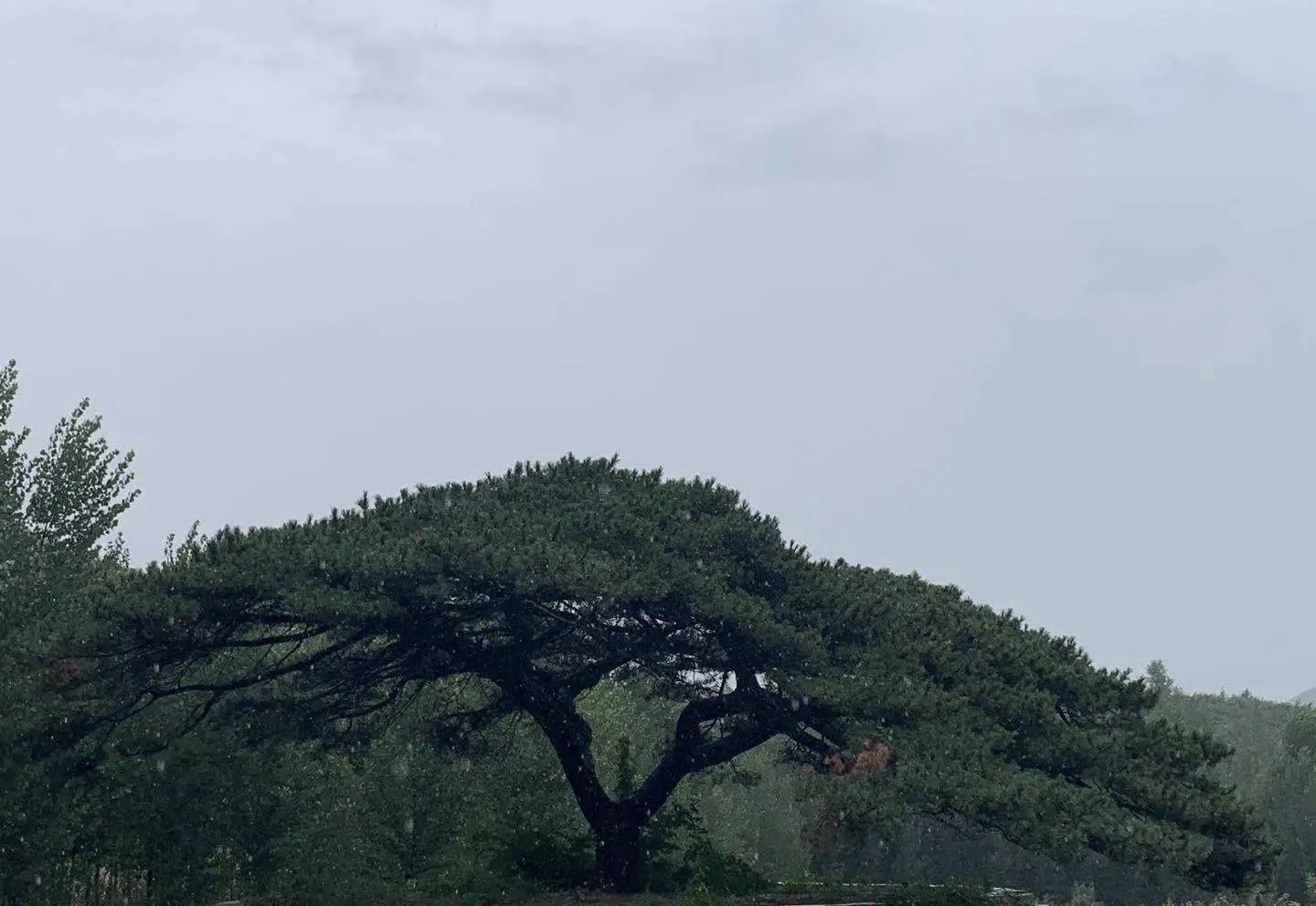 河北青龙湖国家湿地公园旅行图片 3